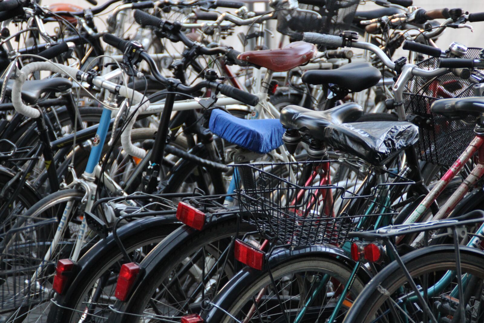 Canon EOS 2000D (EOS Rebel T7 / EOS Kiss X90 / EOS 1500D) sample photo. Bike, bicycles, handlebars photography