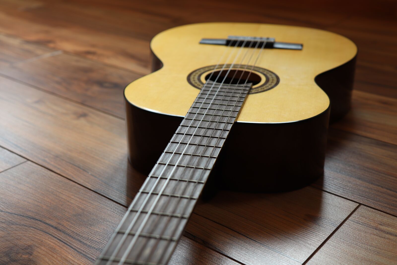 Canon EOS 800D (EOS Rebel T7i / EOS Kiss X9i) sample photo. Guitar, strings, music photography