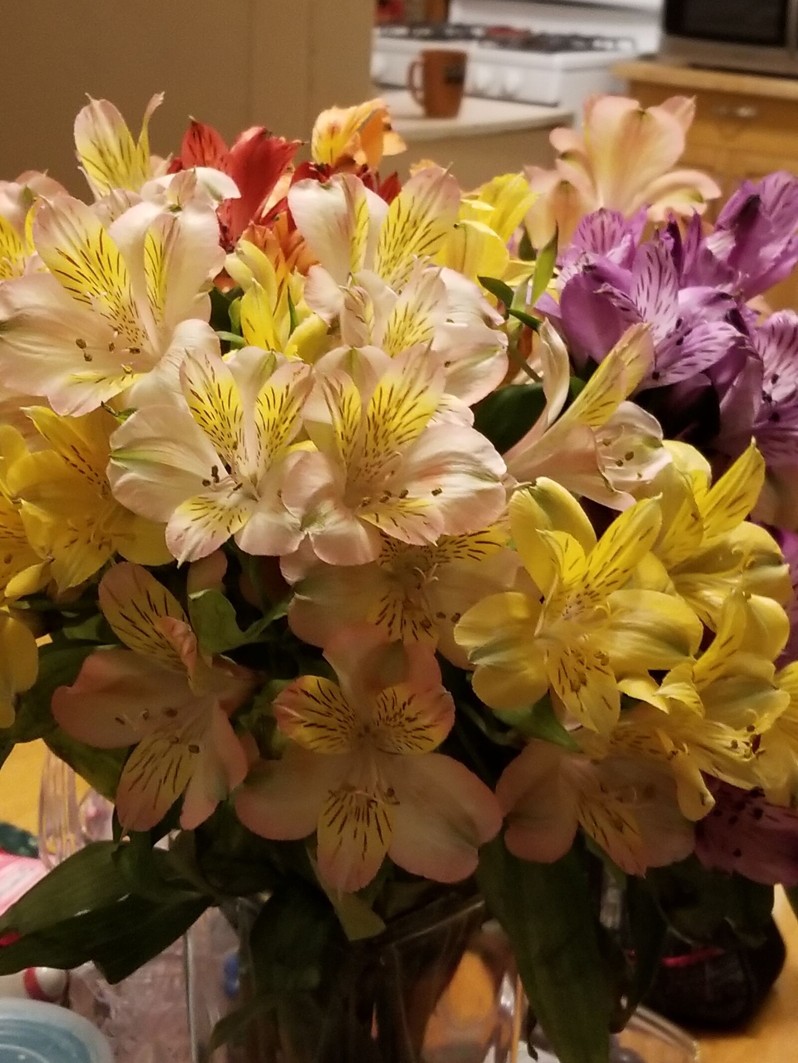 Samsung Galaxy S8+ sample photo. Flowers, floral, blossom photography