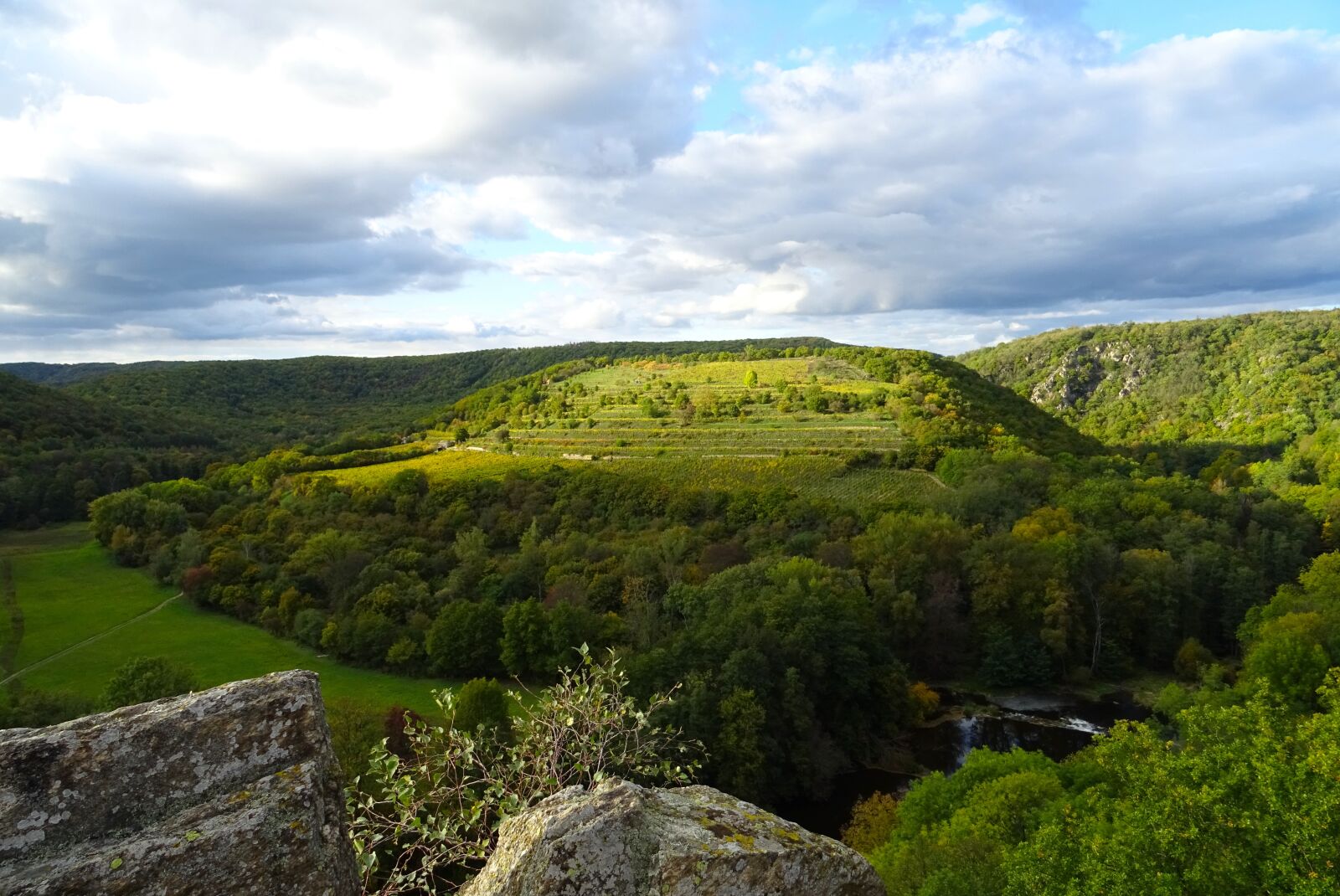 Sony DSC-HX60 sample photo. Nature, czechia, podyj national photography