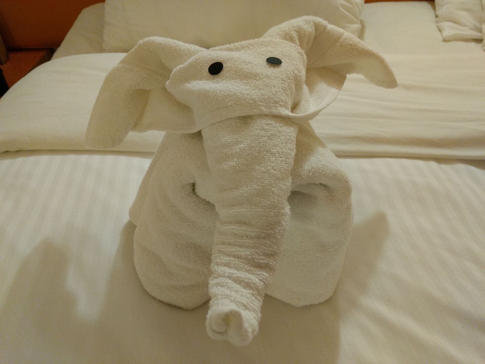 Motorola Moto G (4) sample photo. Elephant, towel, animal photography
