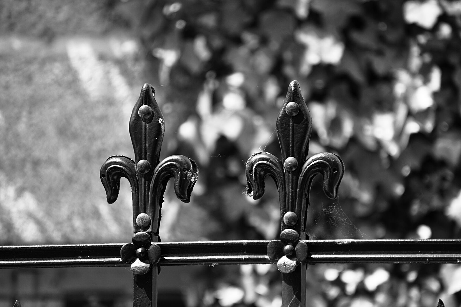 Sony a6000 sample photo. Wrought iron, fleur de photography