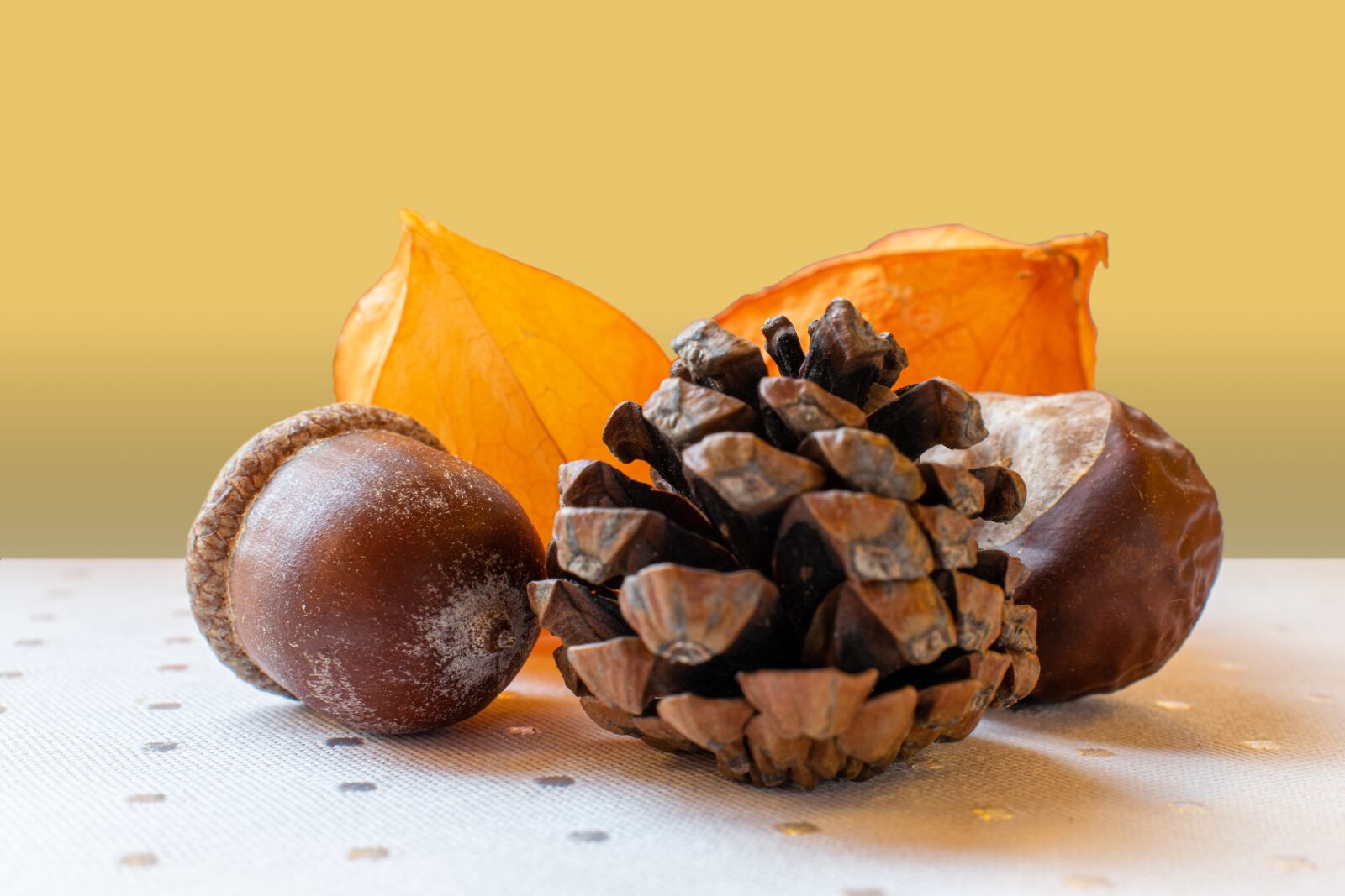 Nikon D5300 sample photo. Autumn decoration, acorn, chestnut photography