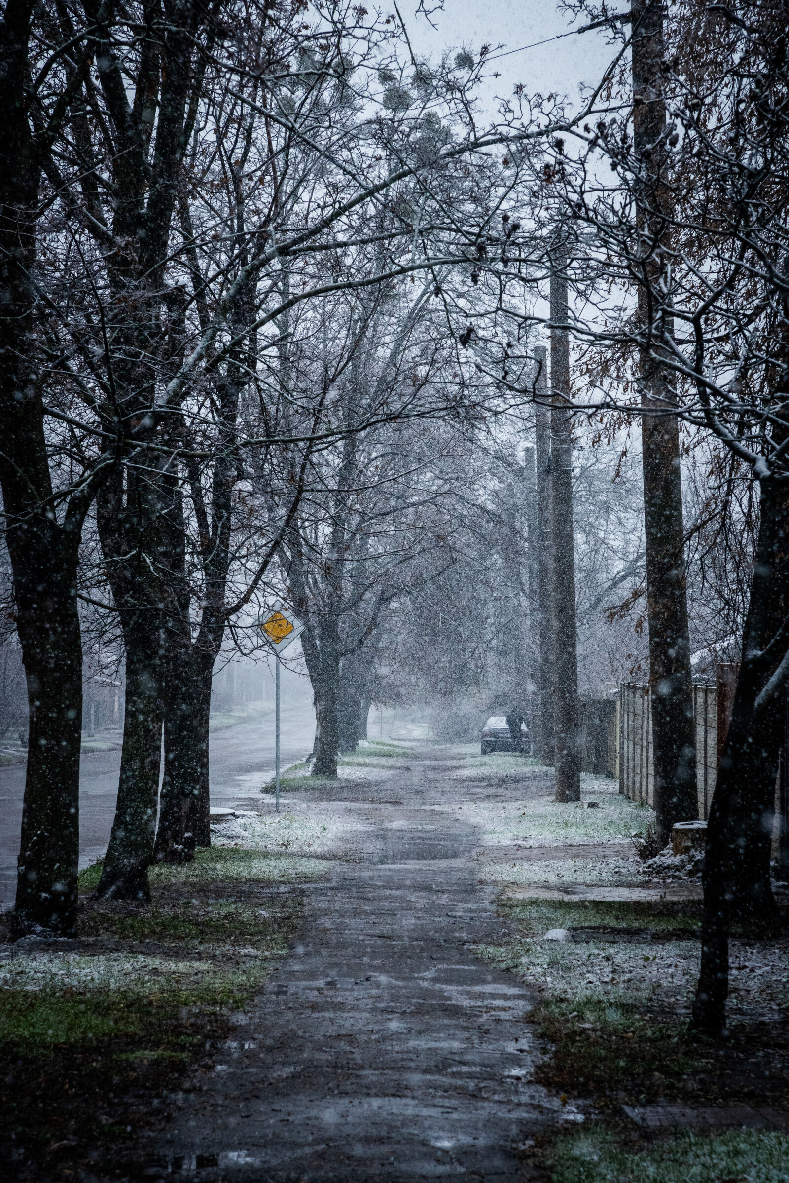 Nikon D750 sample photo