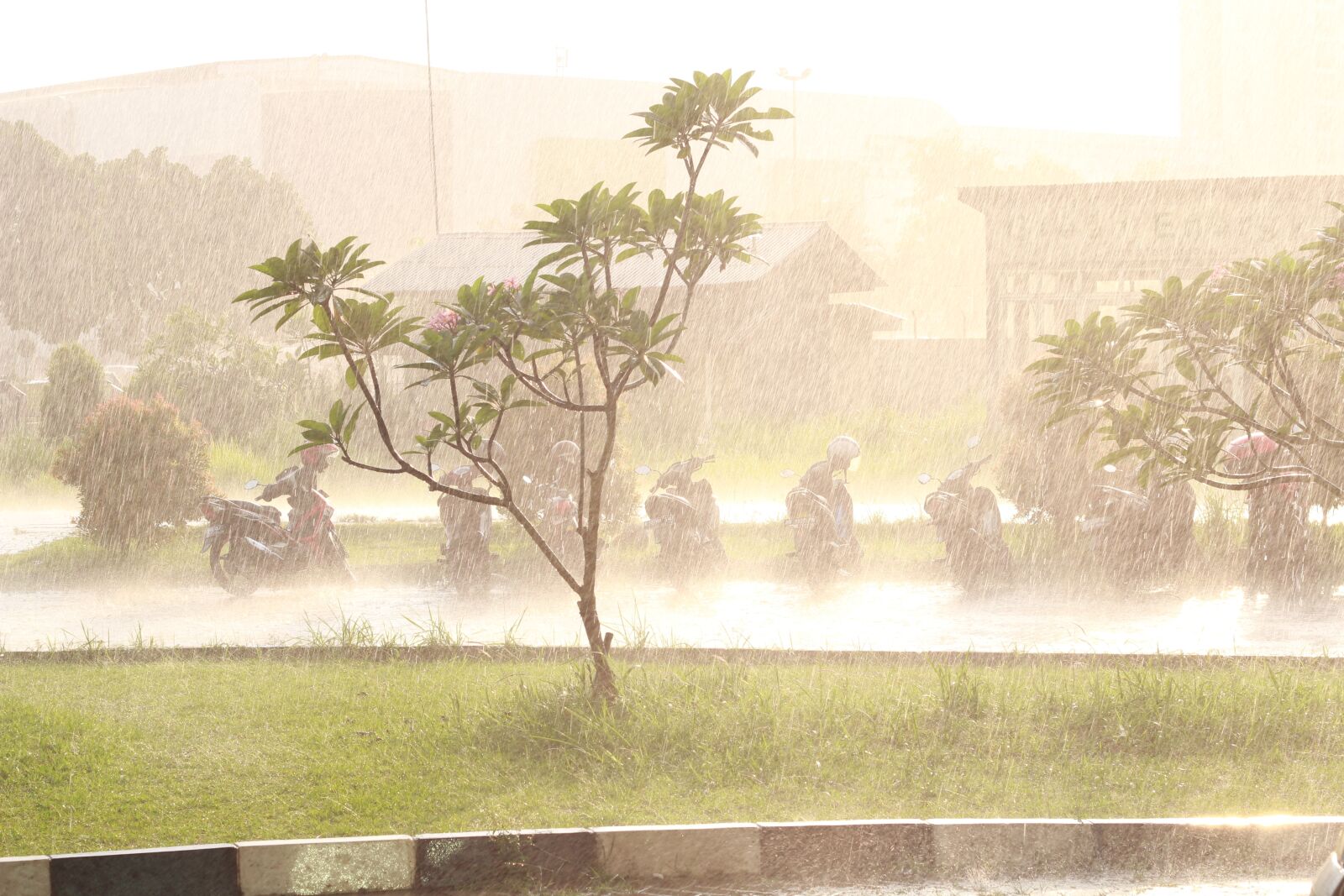 Canon EOS 60D + Canon EF 50mm F1.8 II sample photo. Downpour, rain, evening photography