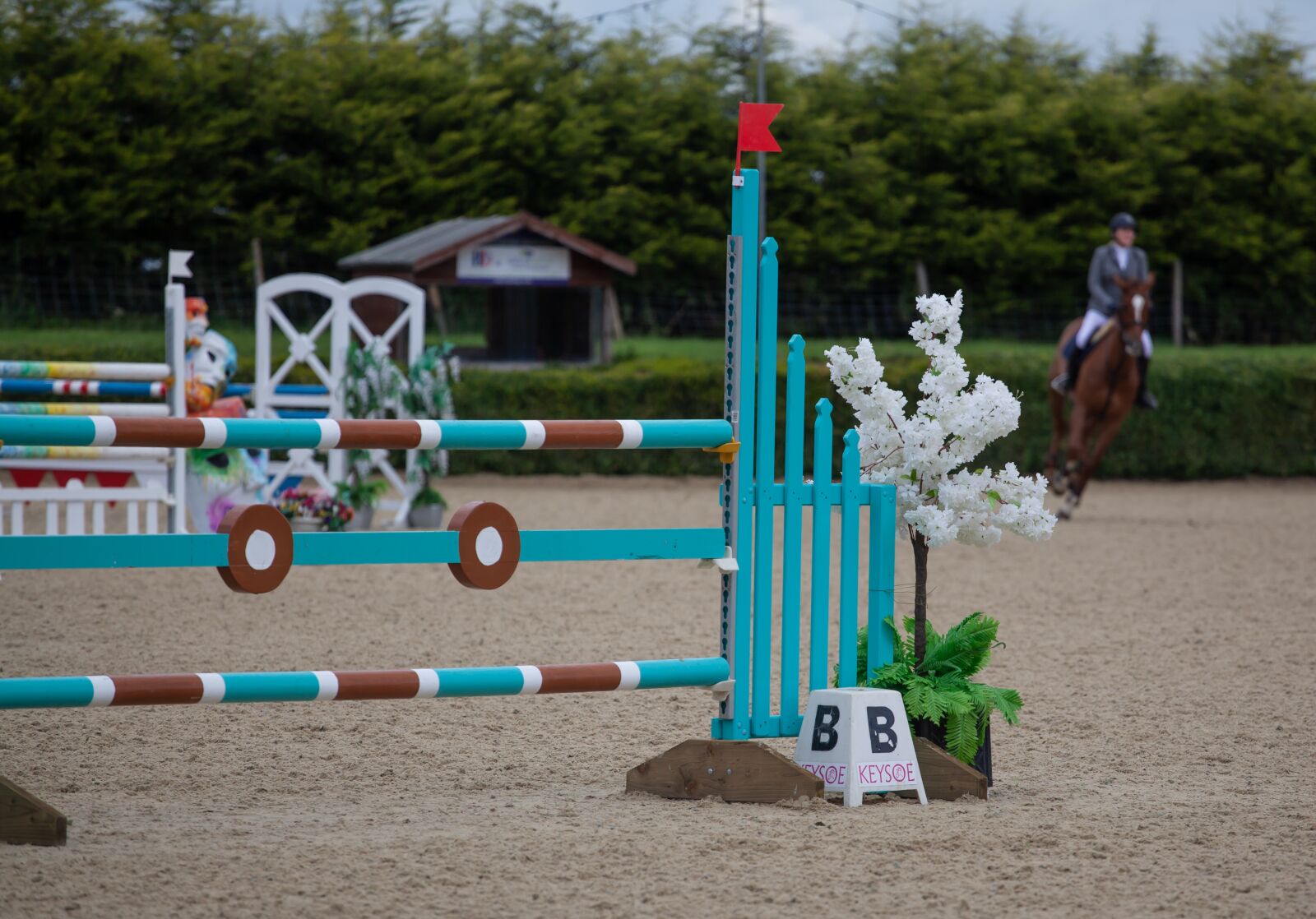 Canon EF 70-200mm F4L USM sample photo. Horse jumping, jumping, equestrian photography