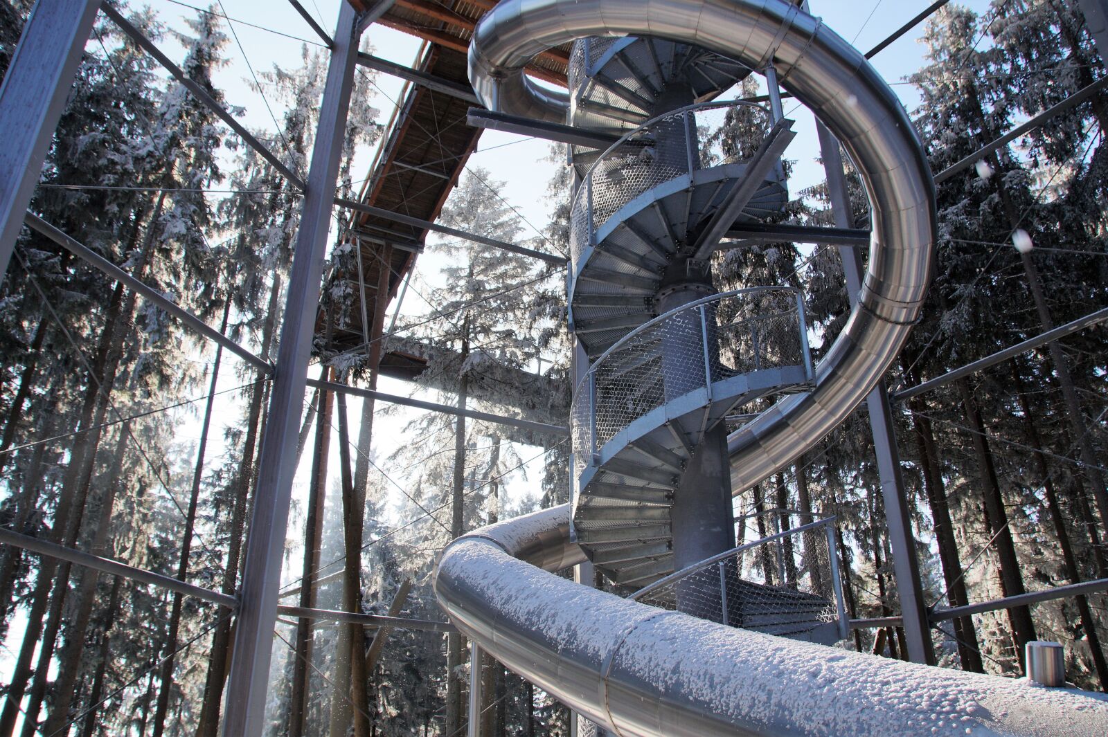 Sony SLT-A58 sample photo. Trail treetops, lipno, czech photography