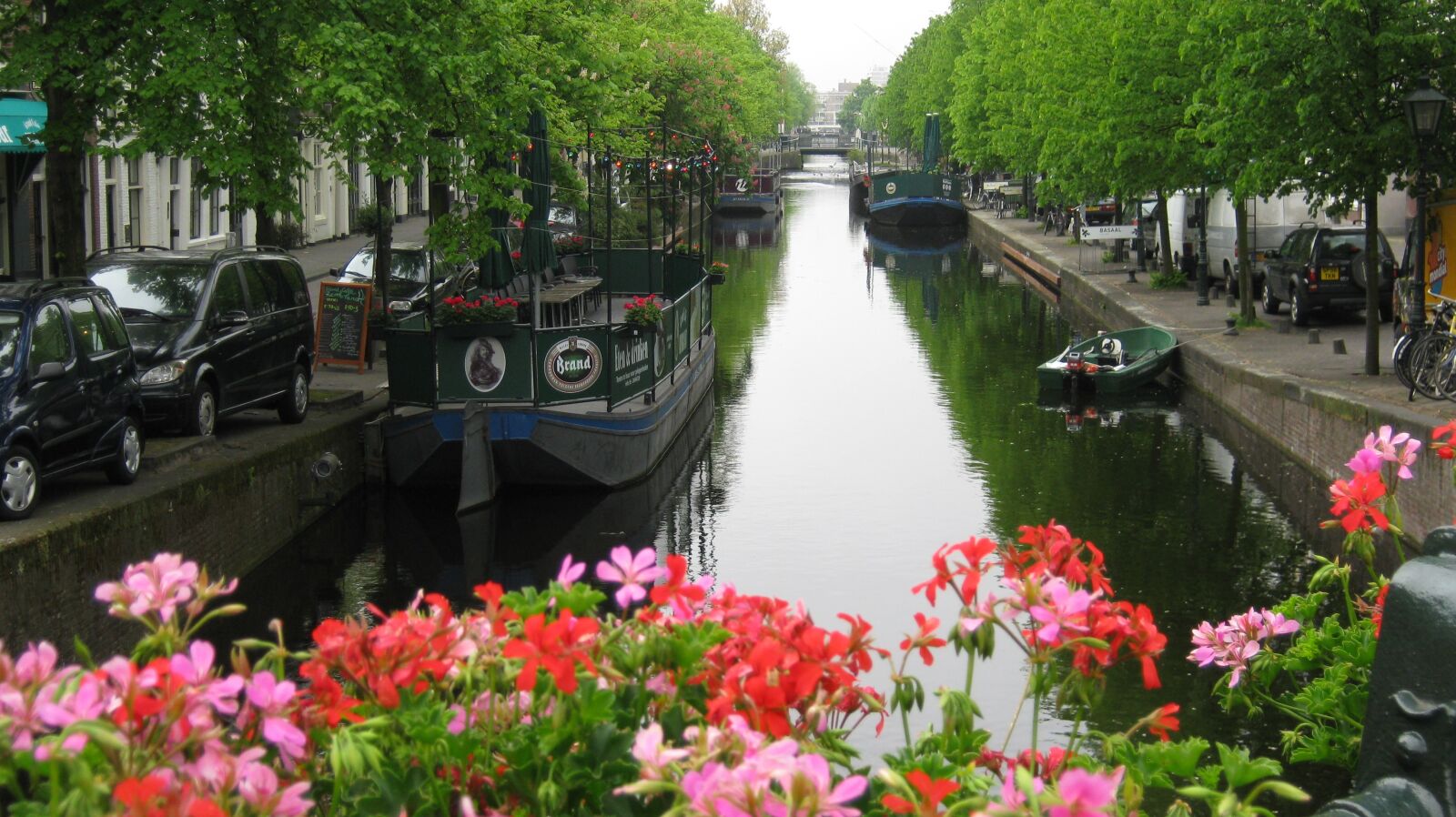 Canon PowerShot A480 sample photo. Holland, netherlands, flowers photography