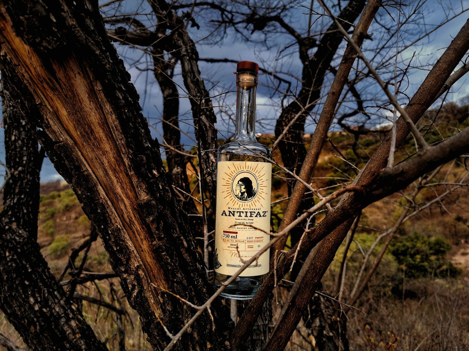 HUAWEI P30 Pro sample photo. Mezcal antifaz, entre ramas photography