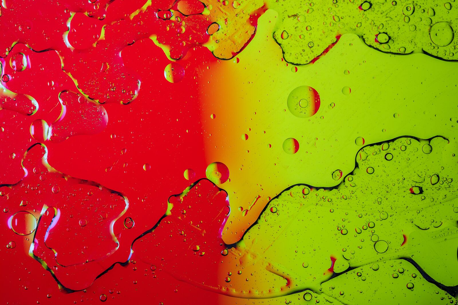 Sigma 70mm F2.8 DG Macro Art sample photo. Water, oil, colorful photography