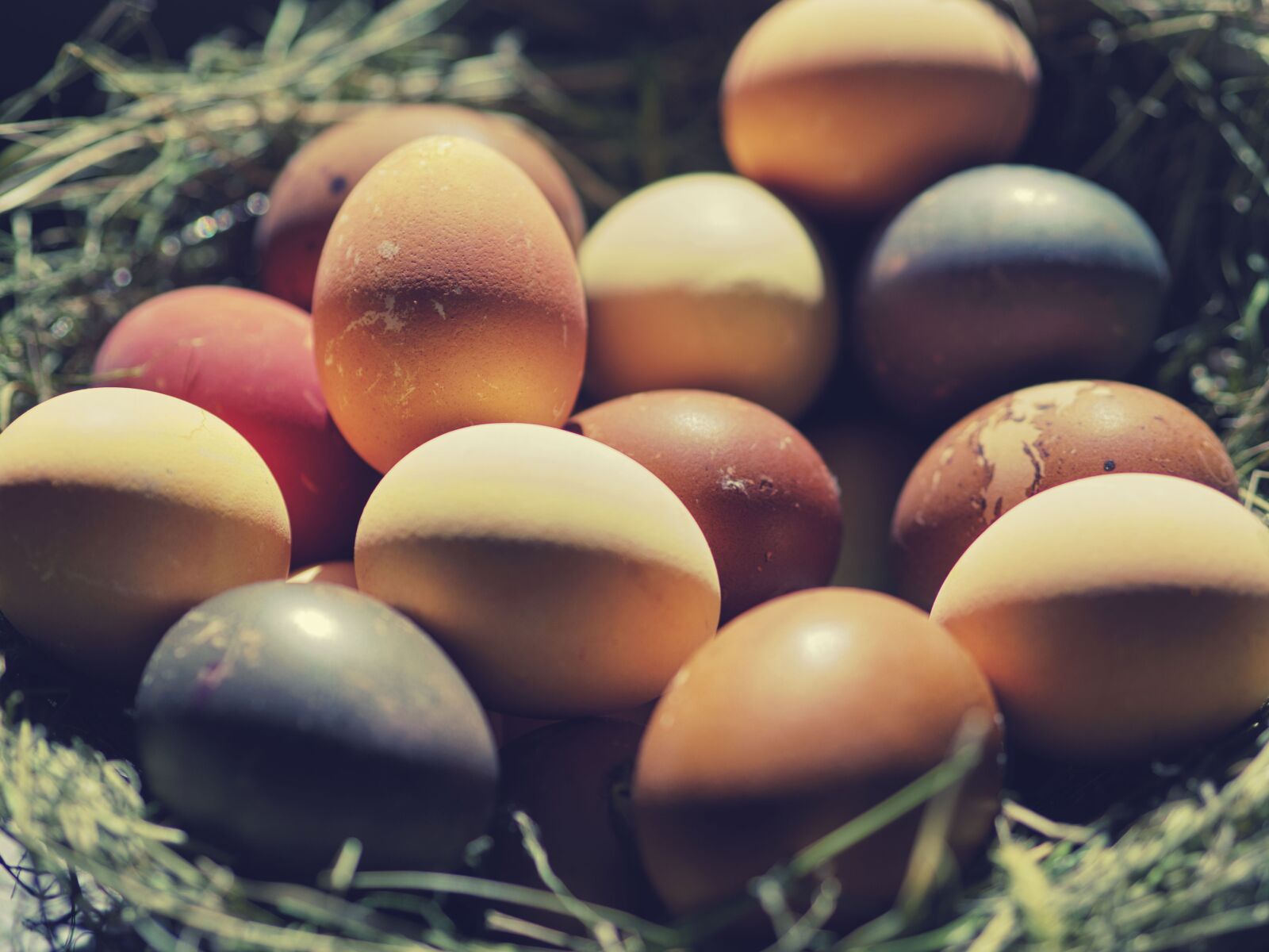 Olympus OM-D E-M10 III sample photo. Easter, easter nest, egg photography
