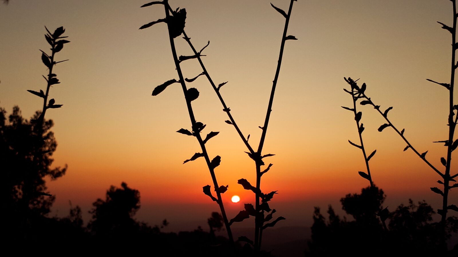 Samsung Galaxy A5(2017) sample photo. Sunset, landscape, sun photography
