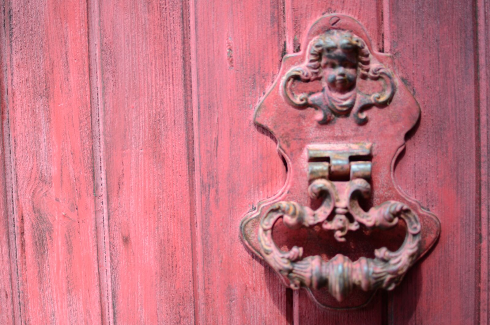 Nikon D7000 sample photo. The door, roses, the photography
