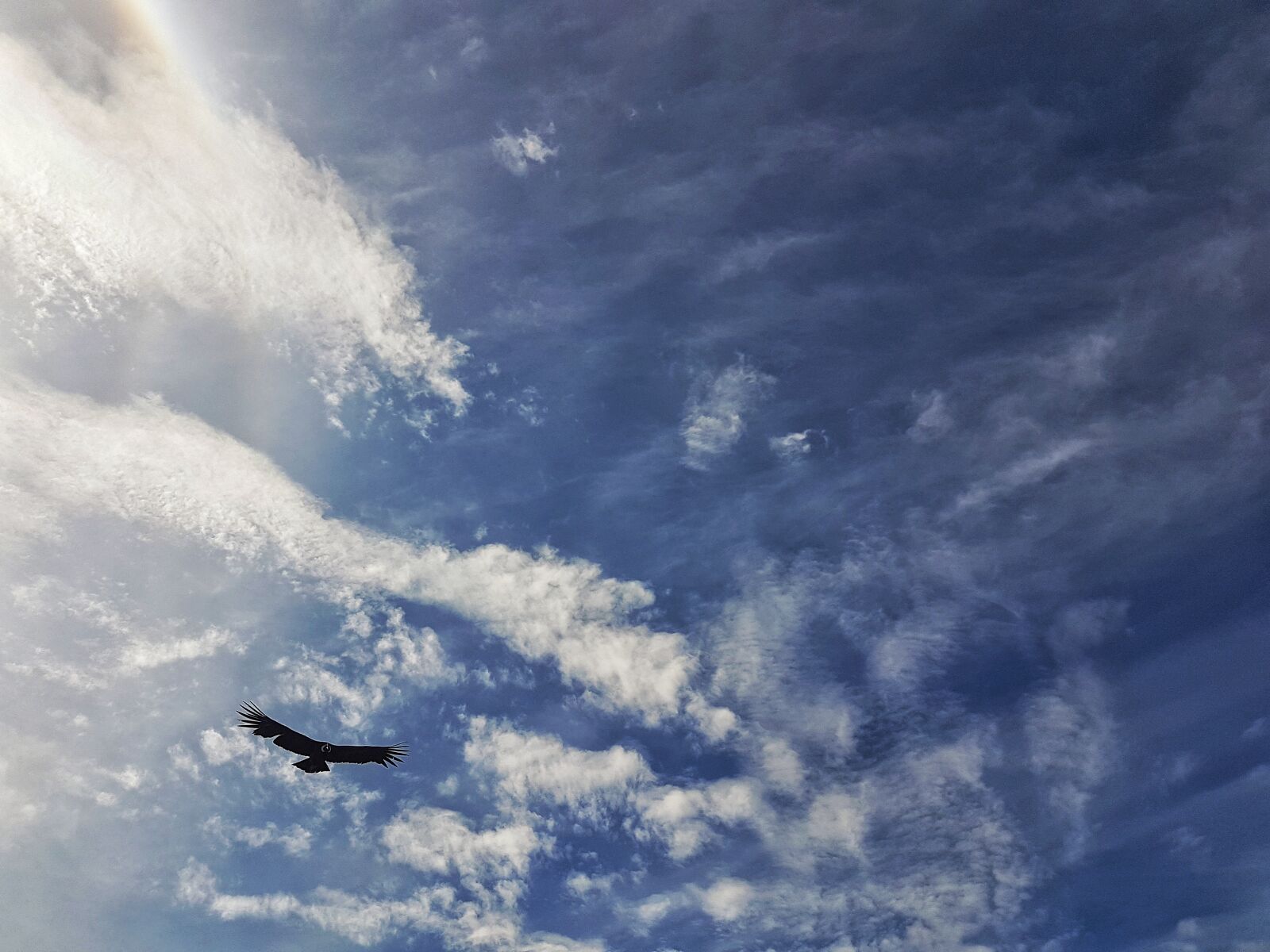 Samsung Galaxy S7 sample photo. Sky, condor, peru photography