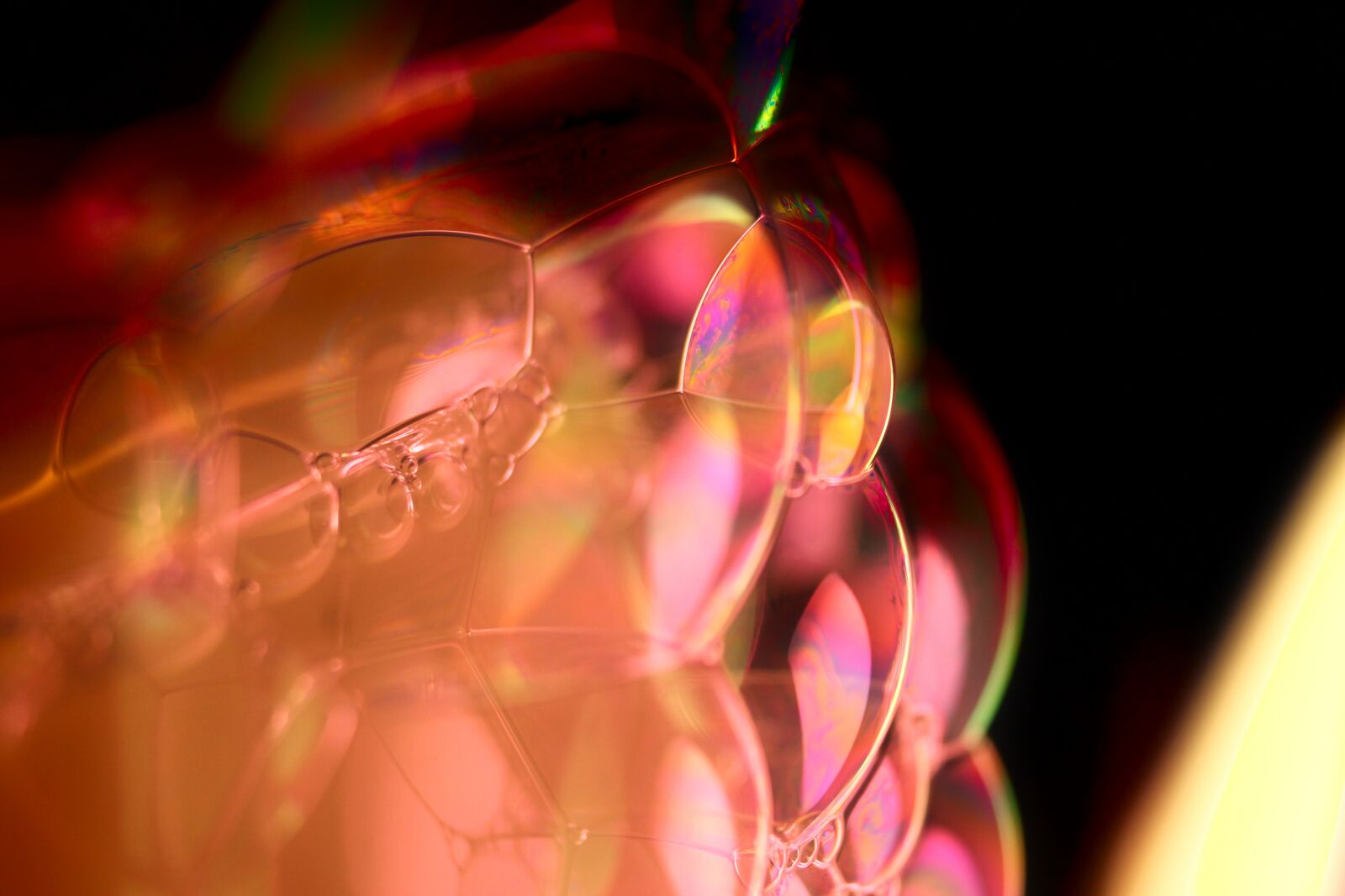 Canon EOS 1100D (EOS Rebel T3 / EOS Kiss X50) sample photo. Bubbles, blow, soap bubble photography