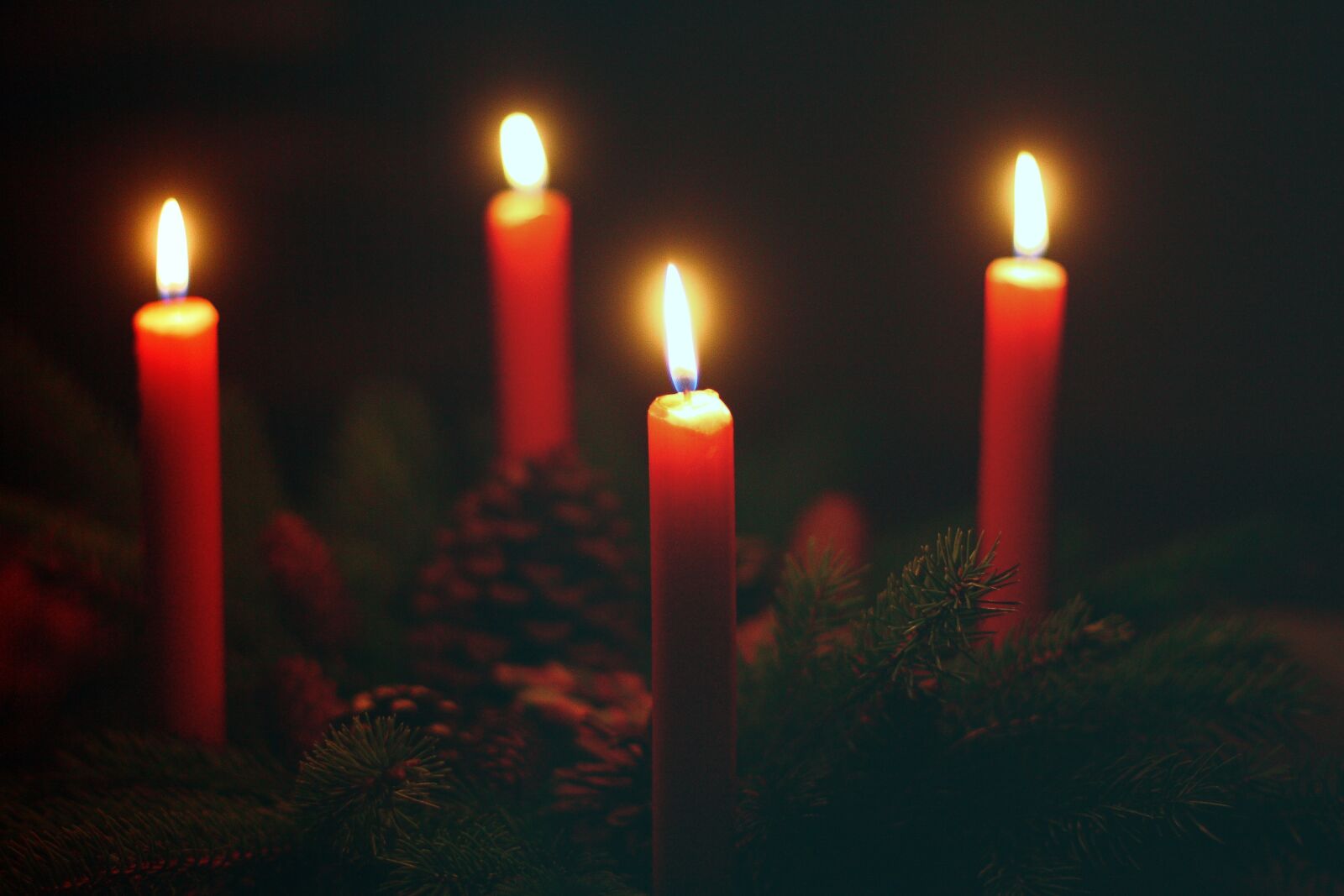 Canon EOS 450D (EOS Rebel XSi / EOS Kiss X2) sample photo. Advent wreath, fourth advent photography
