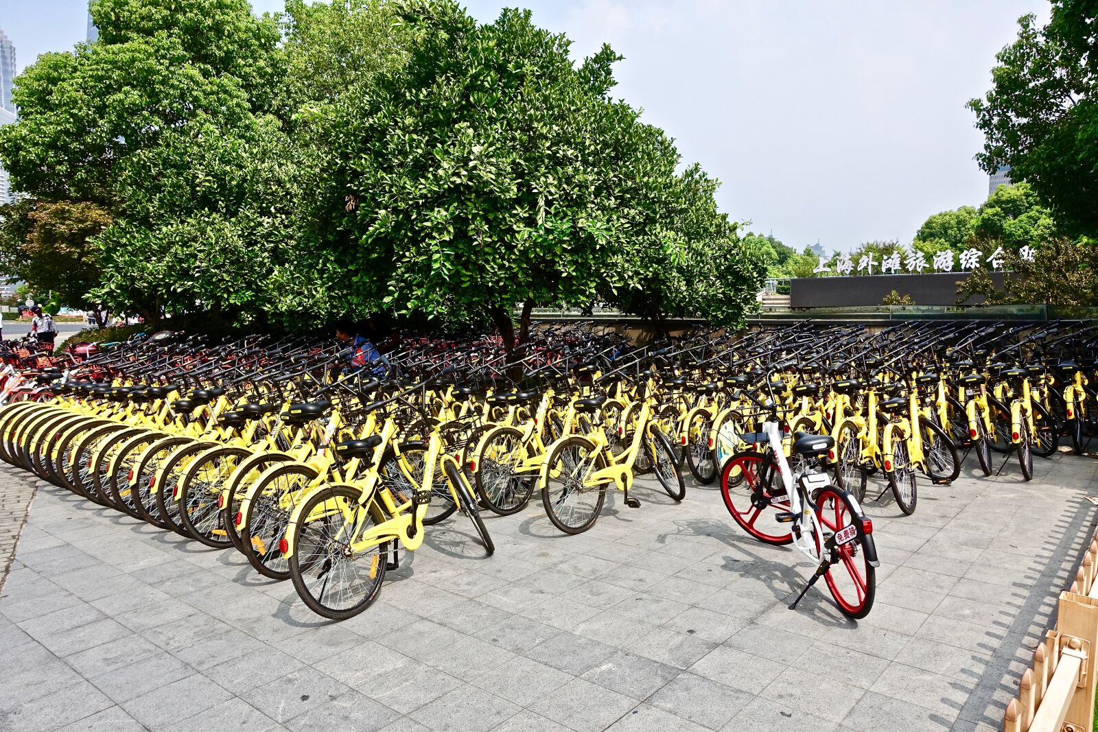Sony Cyber-shot DSC-RX100 III sample photo. Bicycles, rental, yellow photography