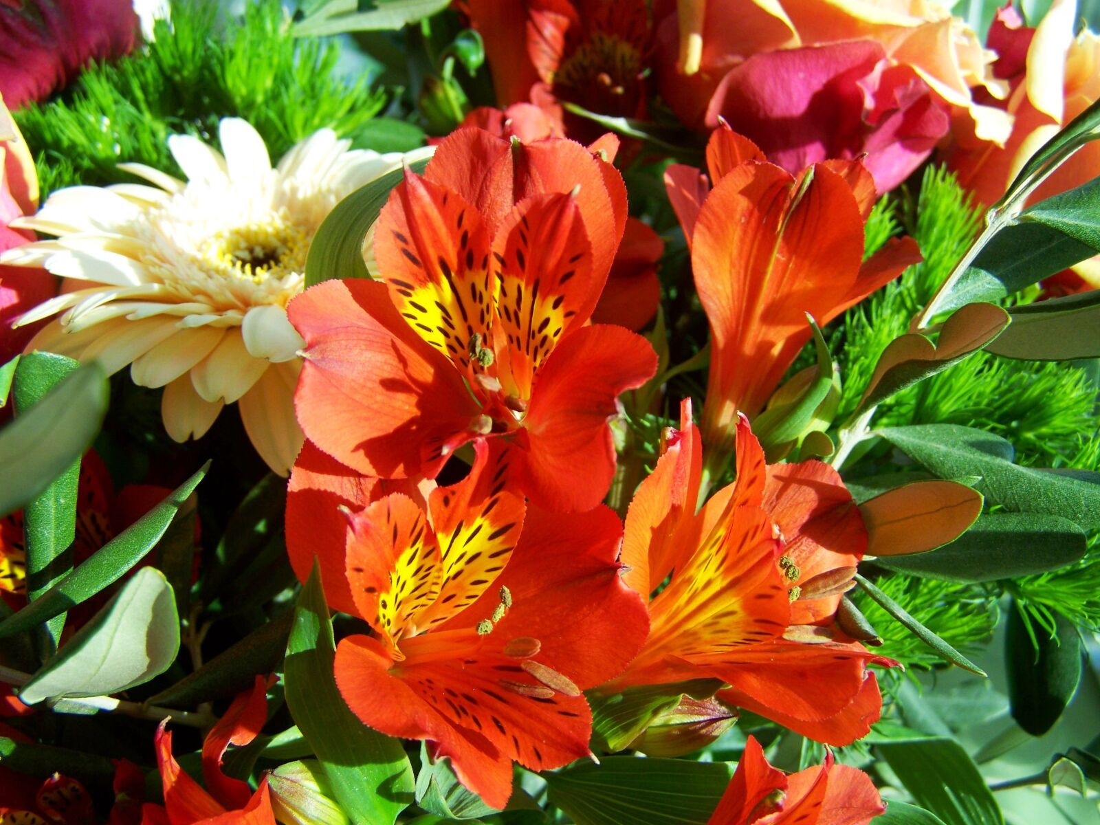 Kodak EASYSHARE ZD710 ZOOM DIGITAL CAMERA sample photo. Bunch of flowers, color photography