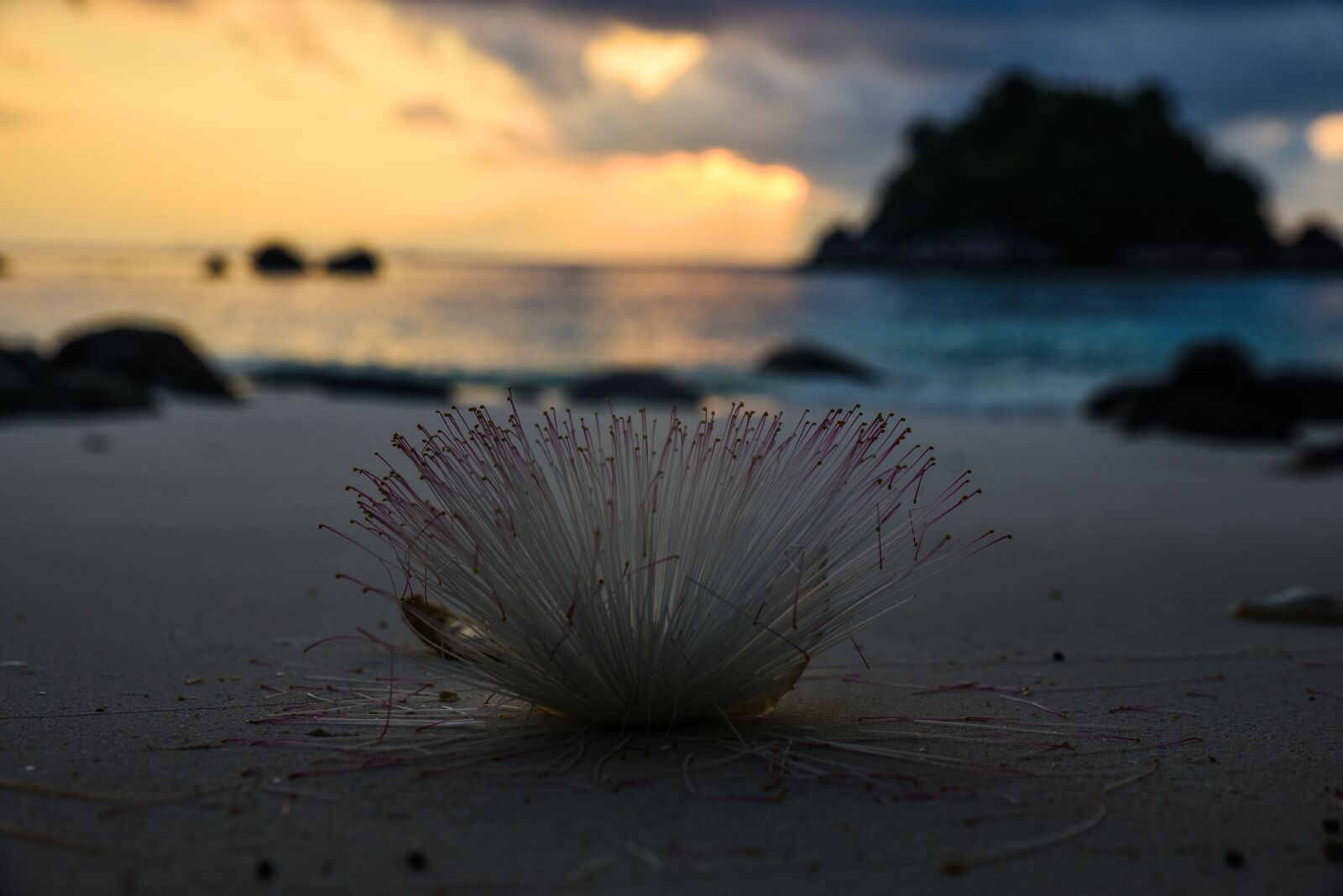 Nikon D750 sample photo. Thailand, island, water photography
