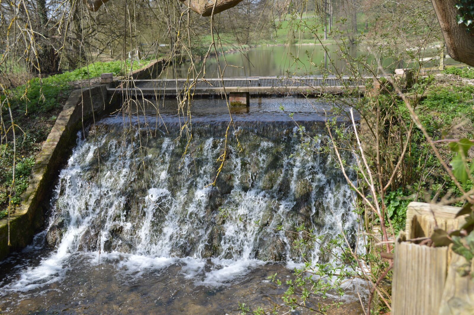 Nikon D3200 sample photo. Nature, water, wood photography