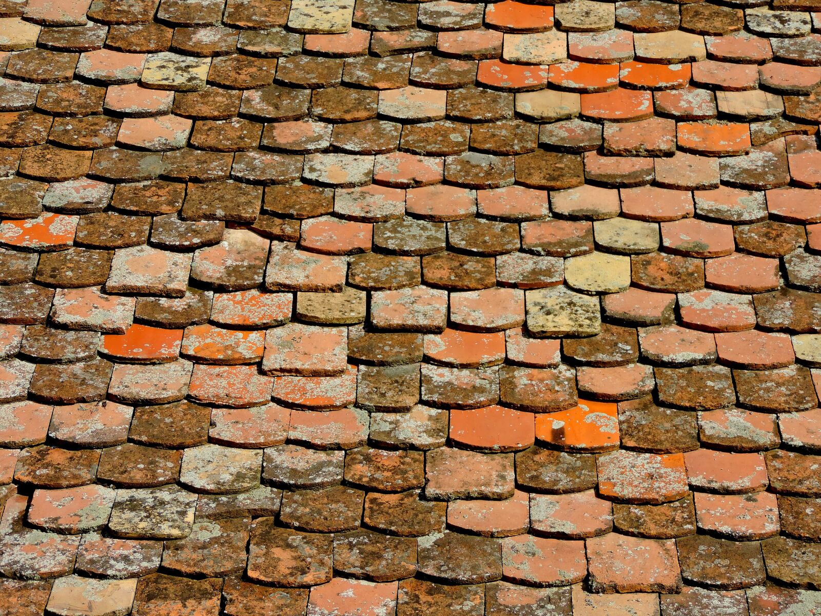Nikon Coolpix P520 sample photo. Old, brick, cement, surface photography