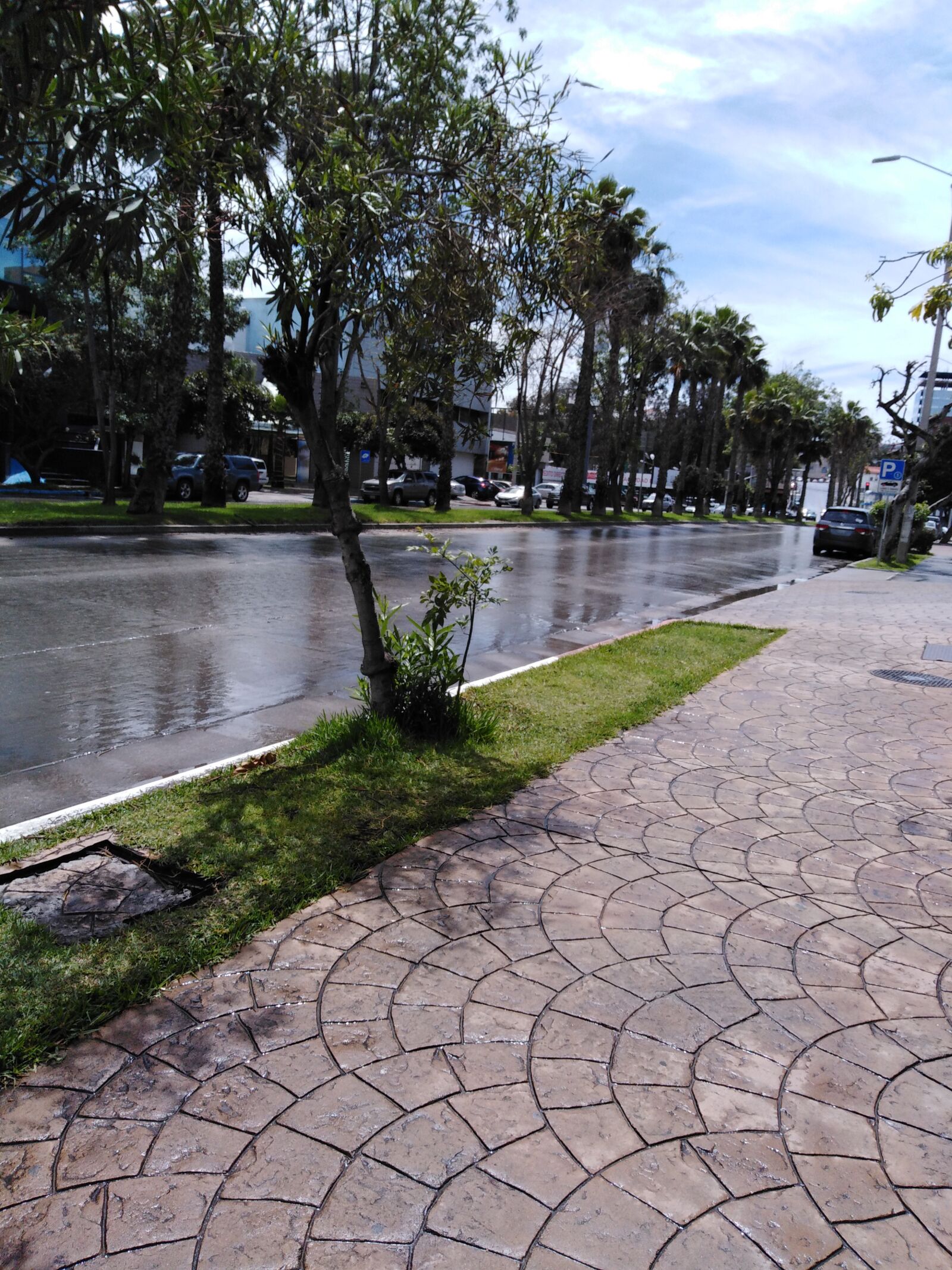 HUAWEI Y6 2018 sample photo. Sidewalk, street, trees photography