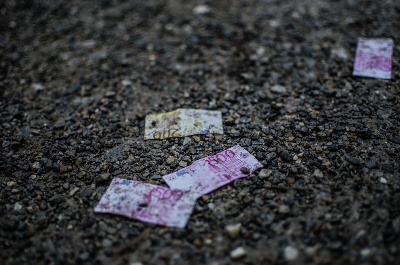 Nikon D7000 sample photo. Money, ground, pebble photography