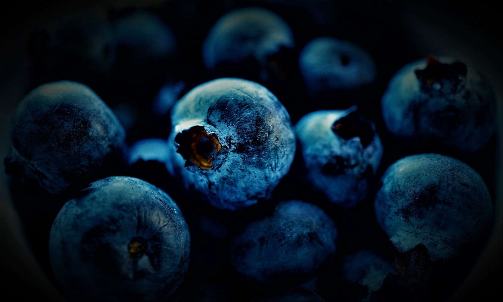 Sony a6000 + Sony E 30mm F3.5 Macro sample photo. Blueberries, black berries, minor photography