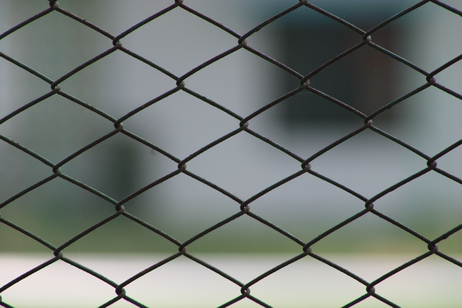 Canon EOS 2000D (EOS Rebel T7 / EOS Kiss X90 / EOS 1500D) sample photo. Abstract, sealed, rejection photography