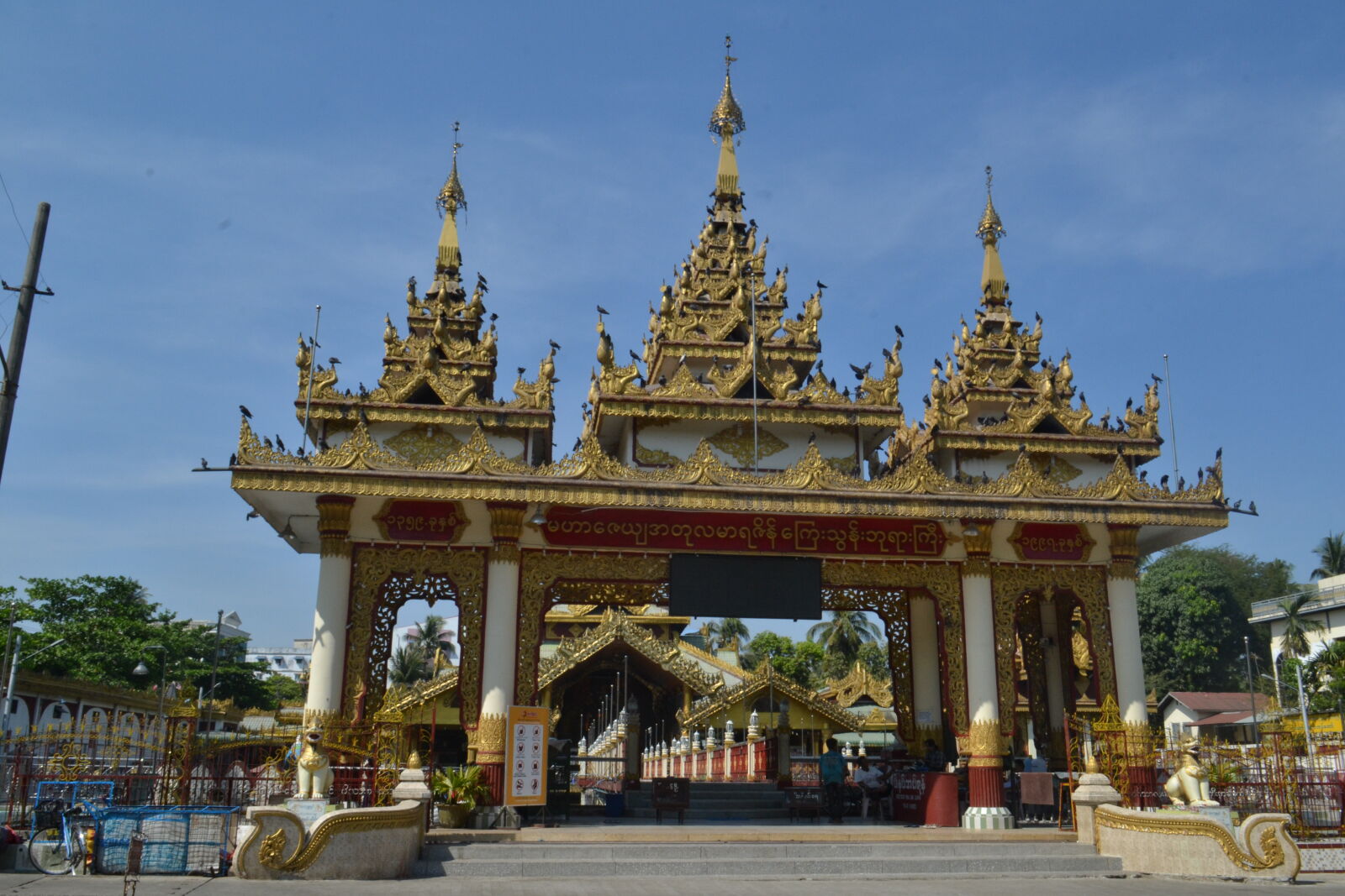 Nikon D3100 sample photo
