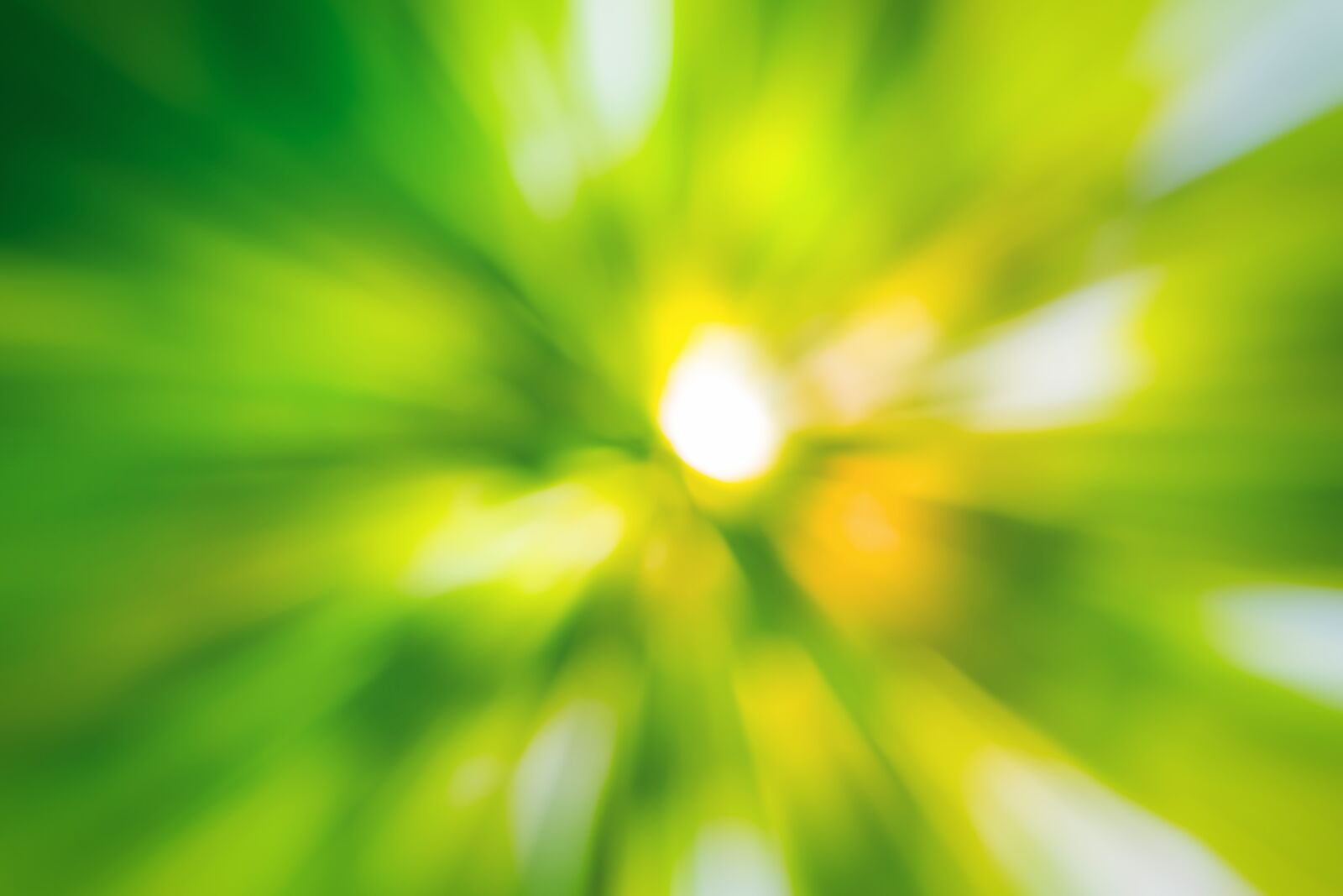 Nikon D7100 sample photo. Texture, background, design photography