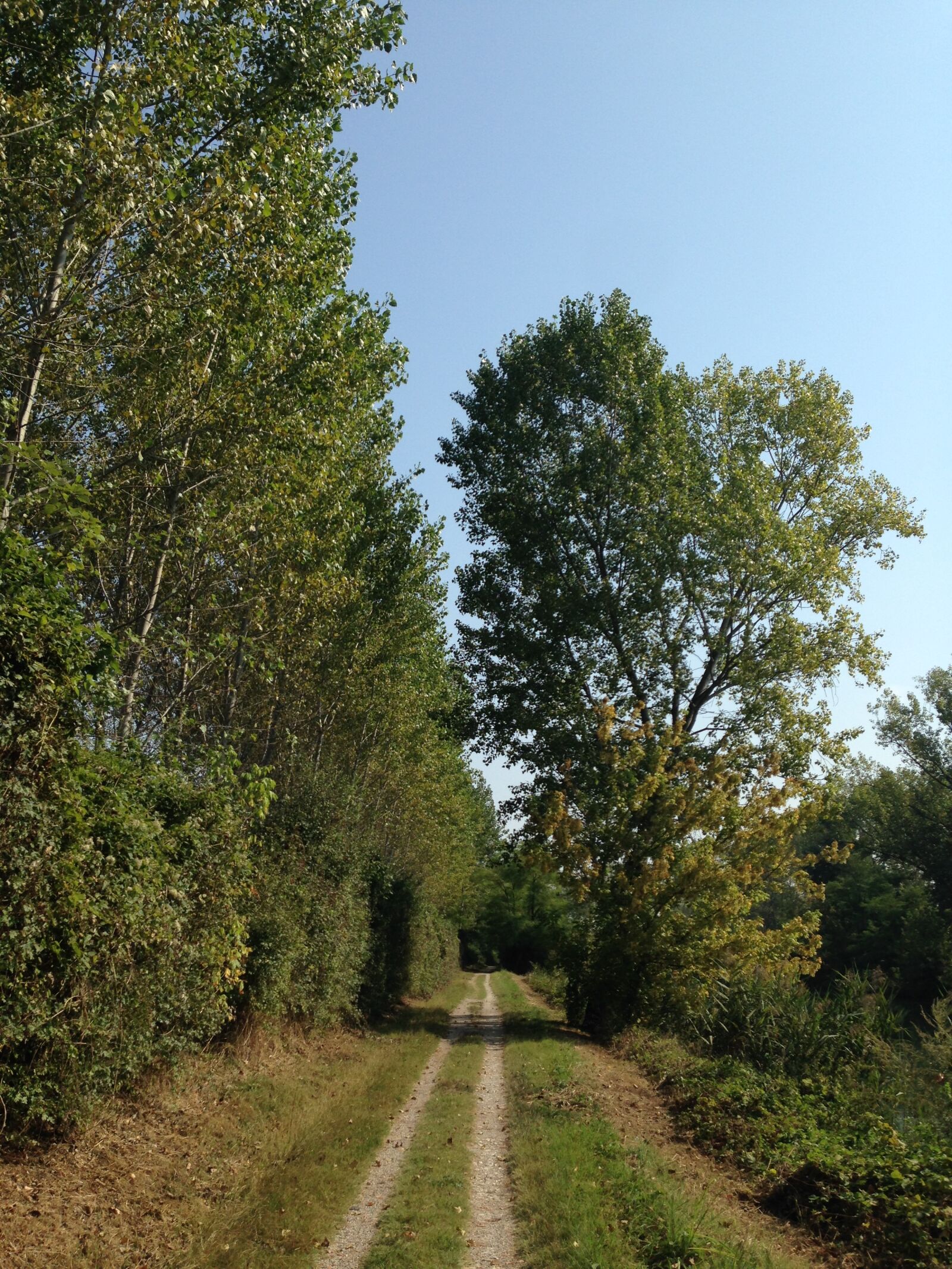 Apple iPhone 5c sample photo. Trail, nature, walk photography
