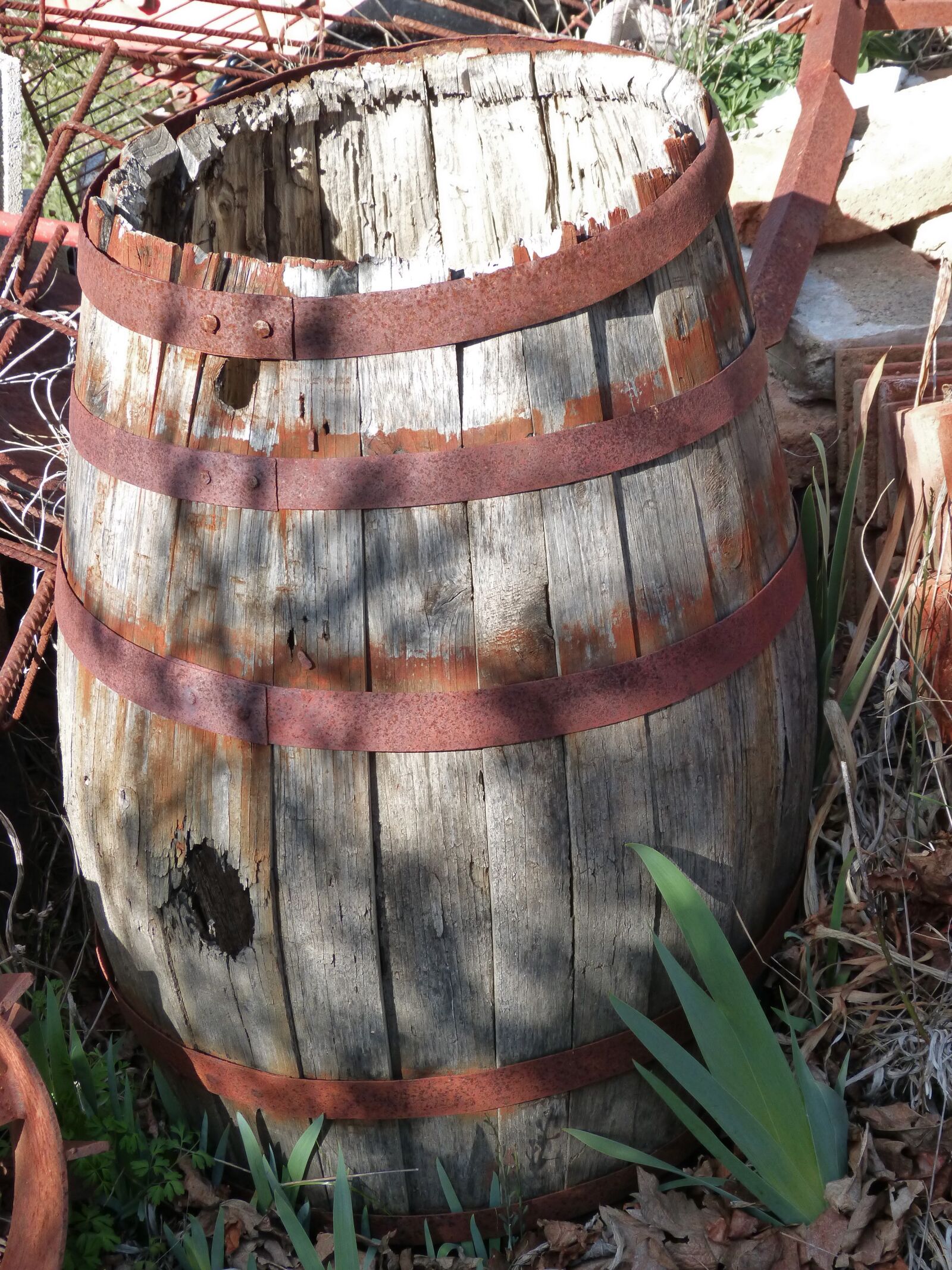Panasonic DMC-FZ62 sample photo. Cask, viticulture, old photography