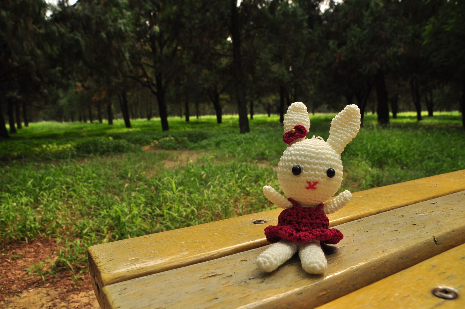 Nikon D5000 sample photo. Rabbit, doll, toys photography