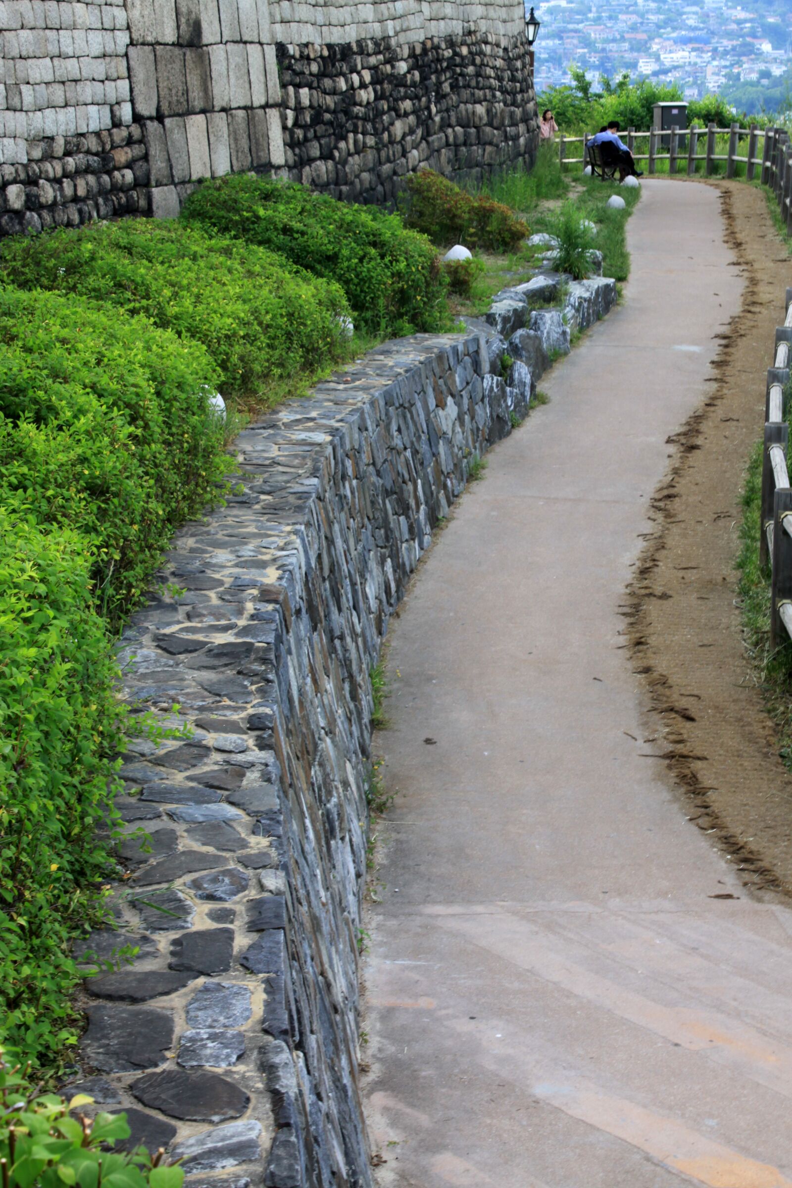 Canon EOS 50D sample photo. Esplanade, road, city photography