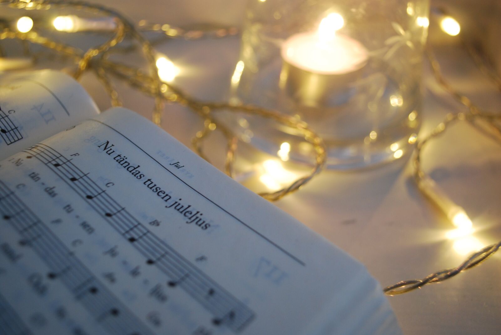 Nikon D60 sample photo. The first sunday of photography