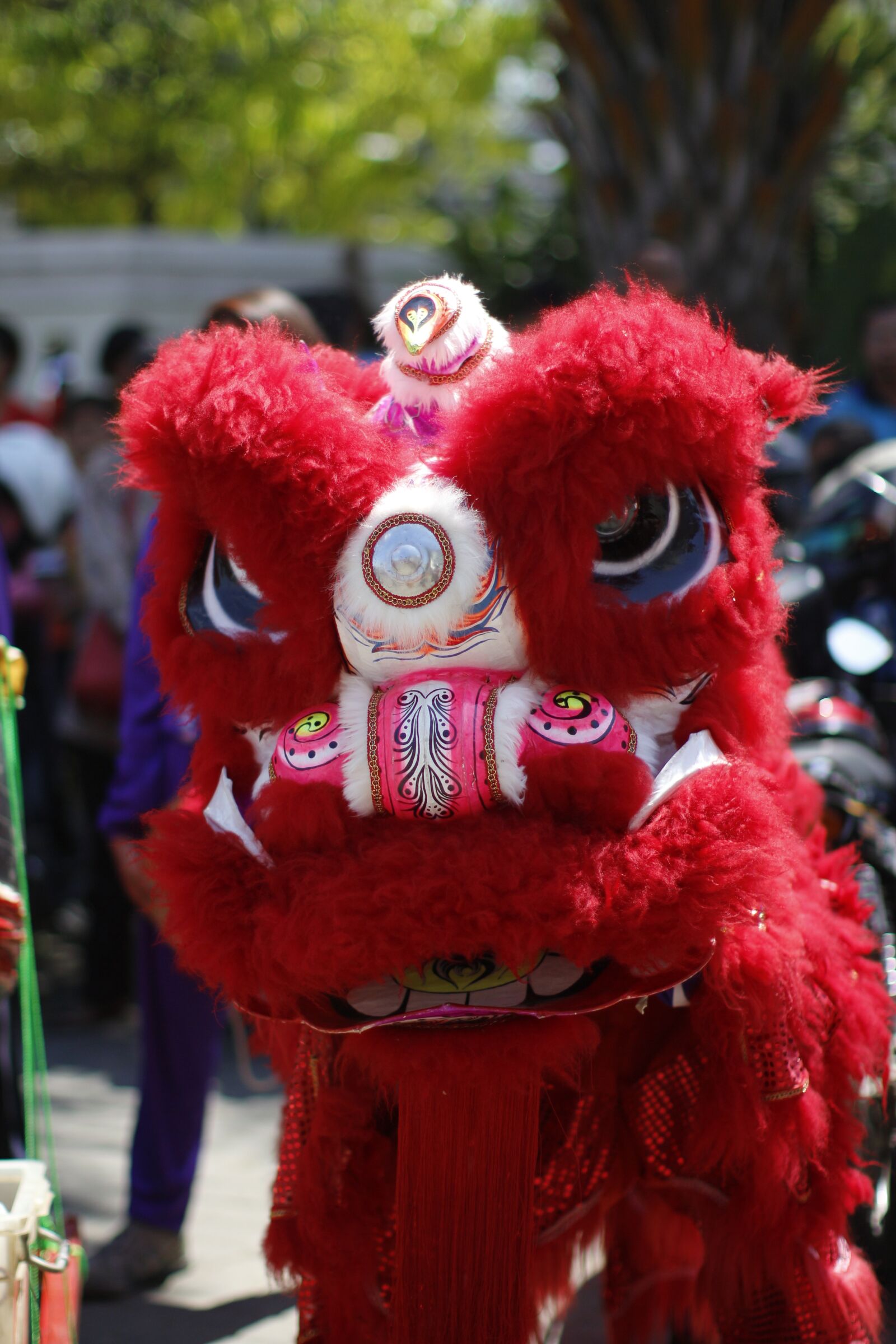 Canon EOS 650D (EOS Rebel T4i / EOS Kiss X6i) + Canon EF 50mm F1.2L USM sample photo. Liong, dragon, culture photography