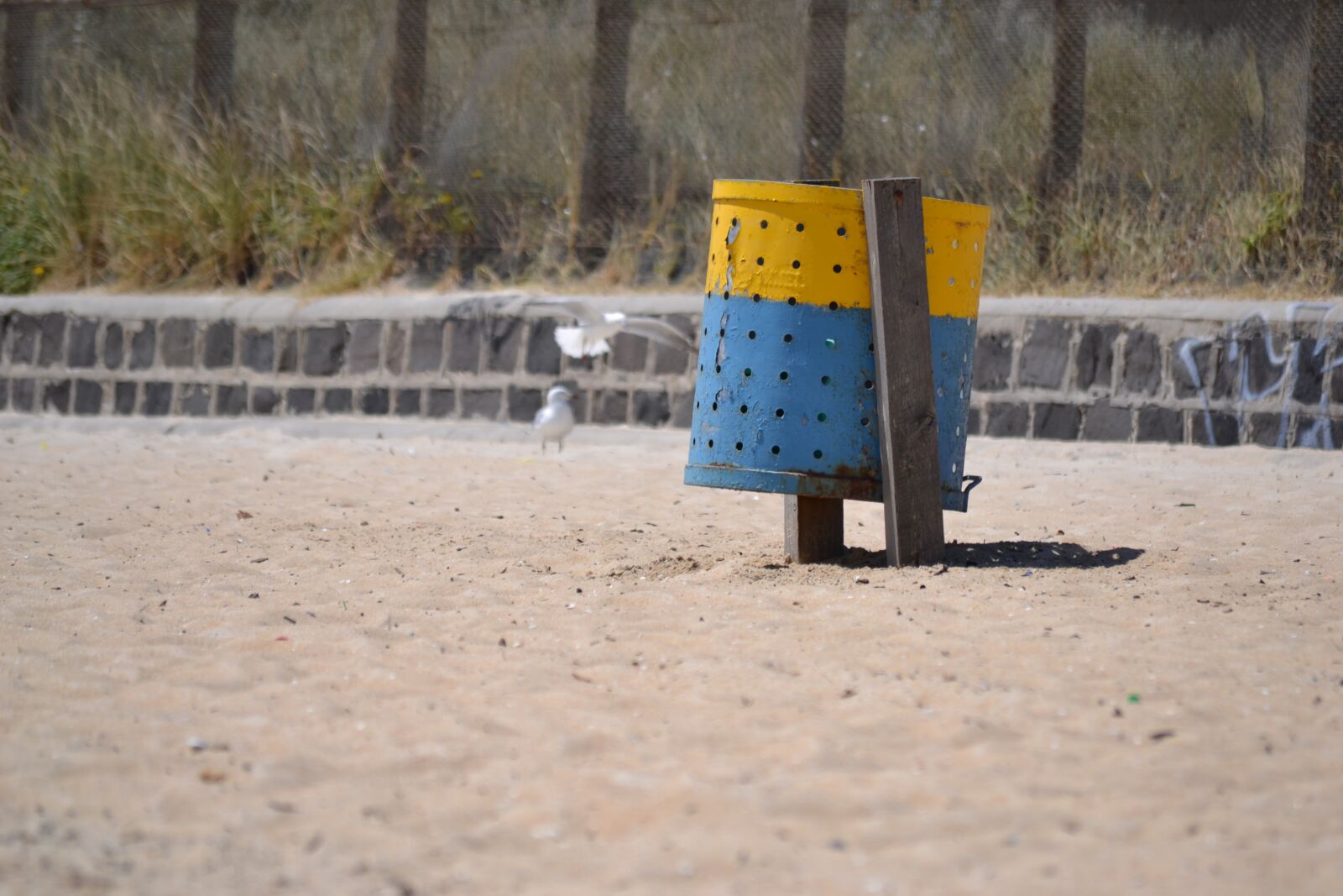 Nikon D3100 sample photo. Beach, rubbish, bin photography