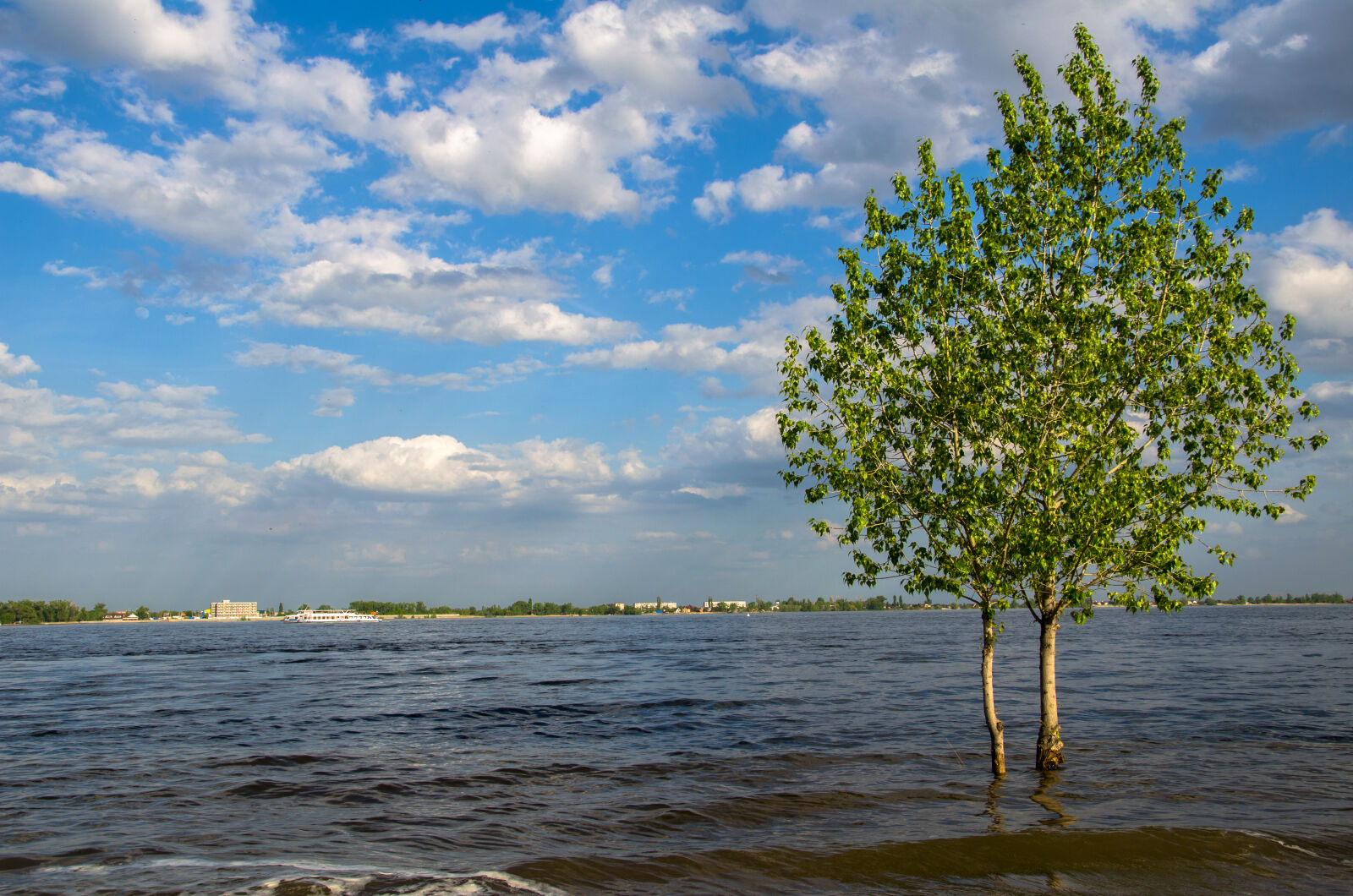 Nikon D5100 sample photo