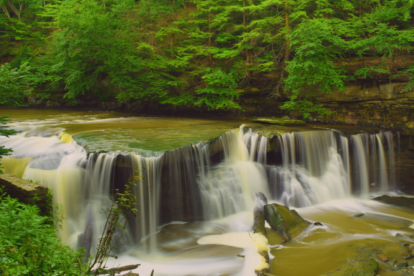 Nikon D3300 sample photo. Nature, water, rocks, leaves photography