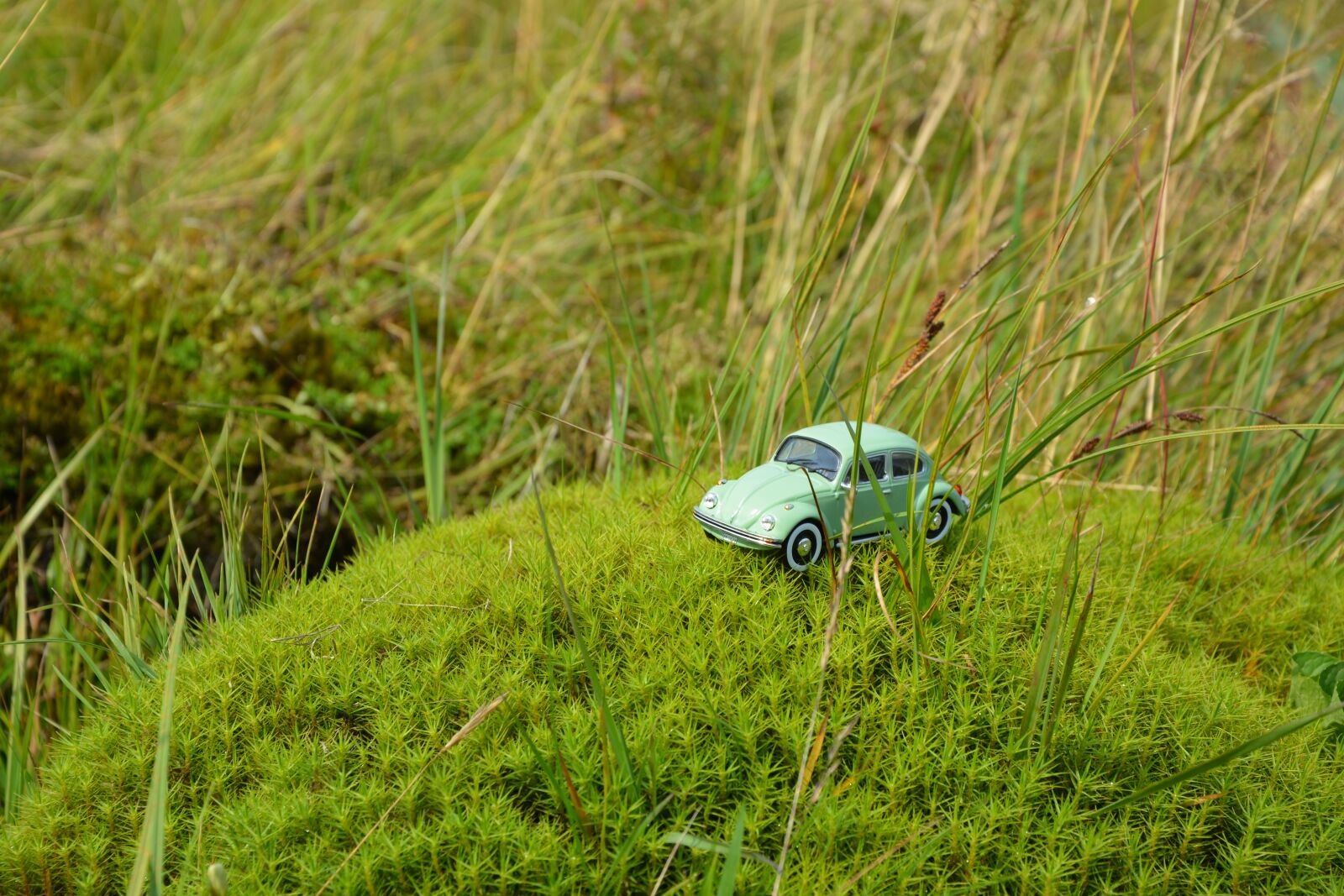 Nikon D5200 sample photo. Auto, model, vehicle photography