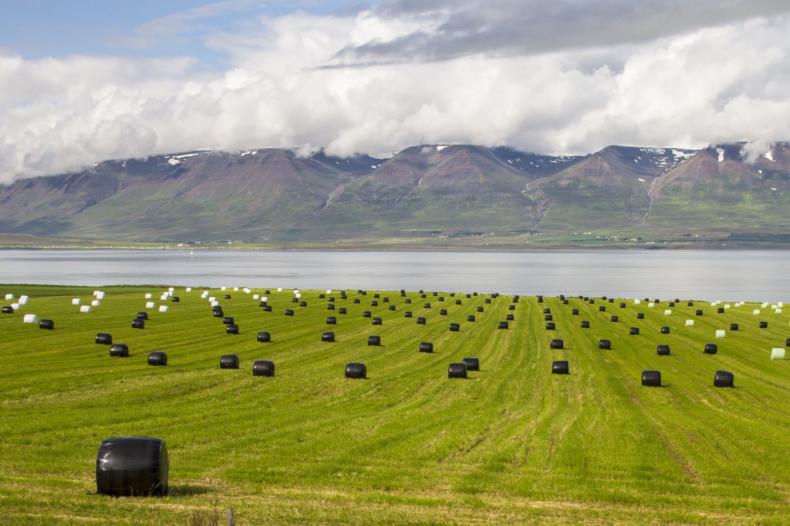 Canon EOS 7D sample photo. Iceland, feed bales, landscape photography