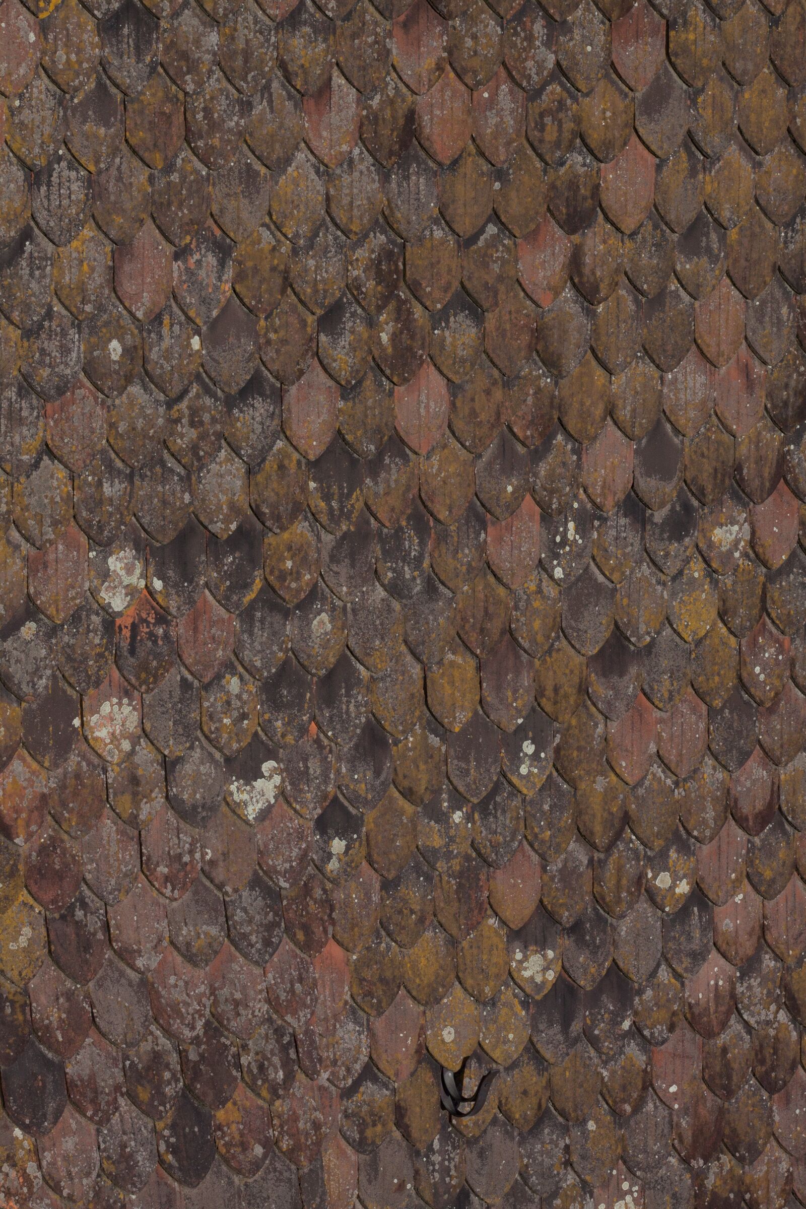 Canon EOS 50D sample photo. Nave, roof, roofing photography