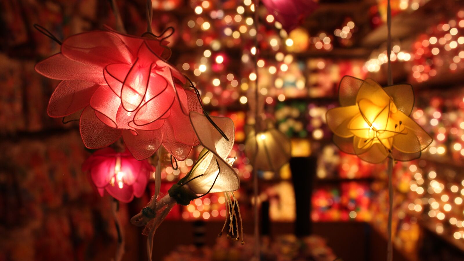 Canon EOS 600D (Rebel EOS T3i / EOS Kiss X5) sample photo. Lights, flowers, lamps photography