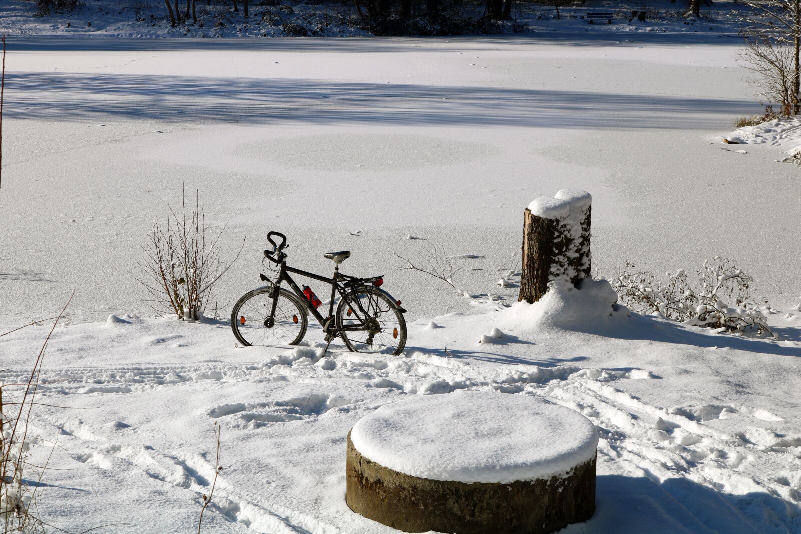 Canon EOS 750D (EOS Rebel T6i / EOS Kiss X8i) sample photo. Winter, snow, bike photography