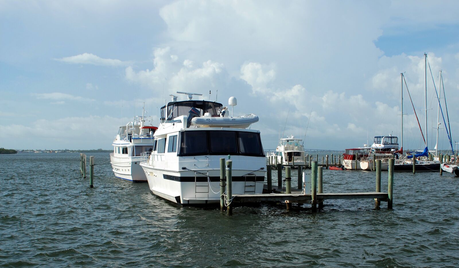 Nikon D200 sample photo. Oat, marina, stored photography