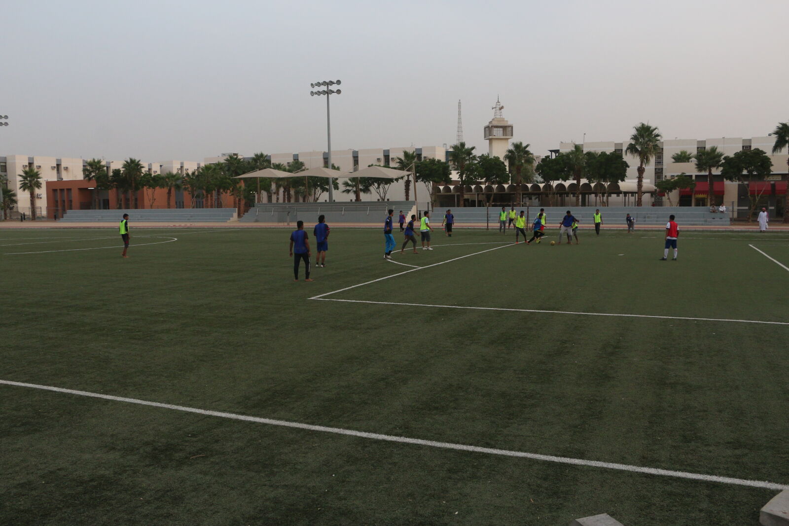 Canon EOS 70D sample photo