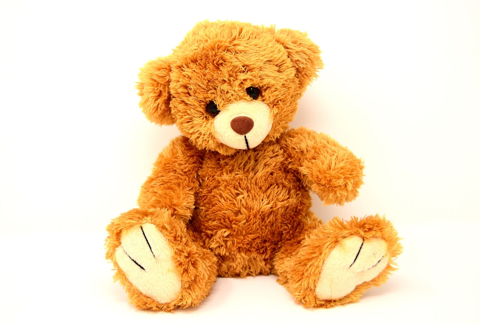 Nikon D7200 sample photo. Teddy, soft toy, bears photography
