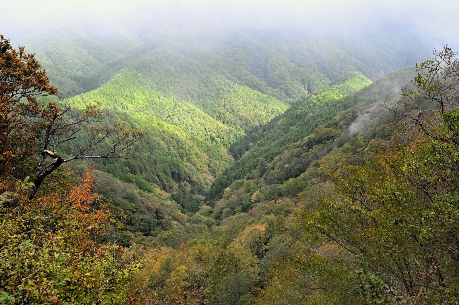 Nikon Nikkor Z 24-70mm F2.8 S sample photo. Fog, mountain, landscape photography