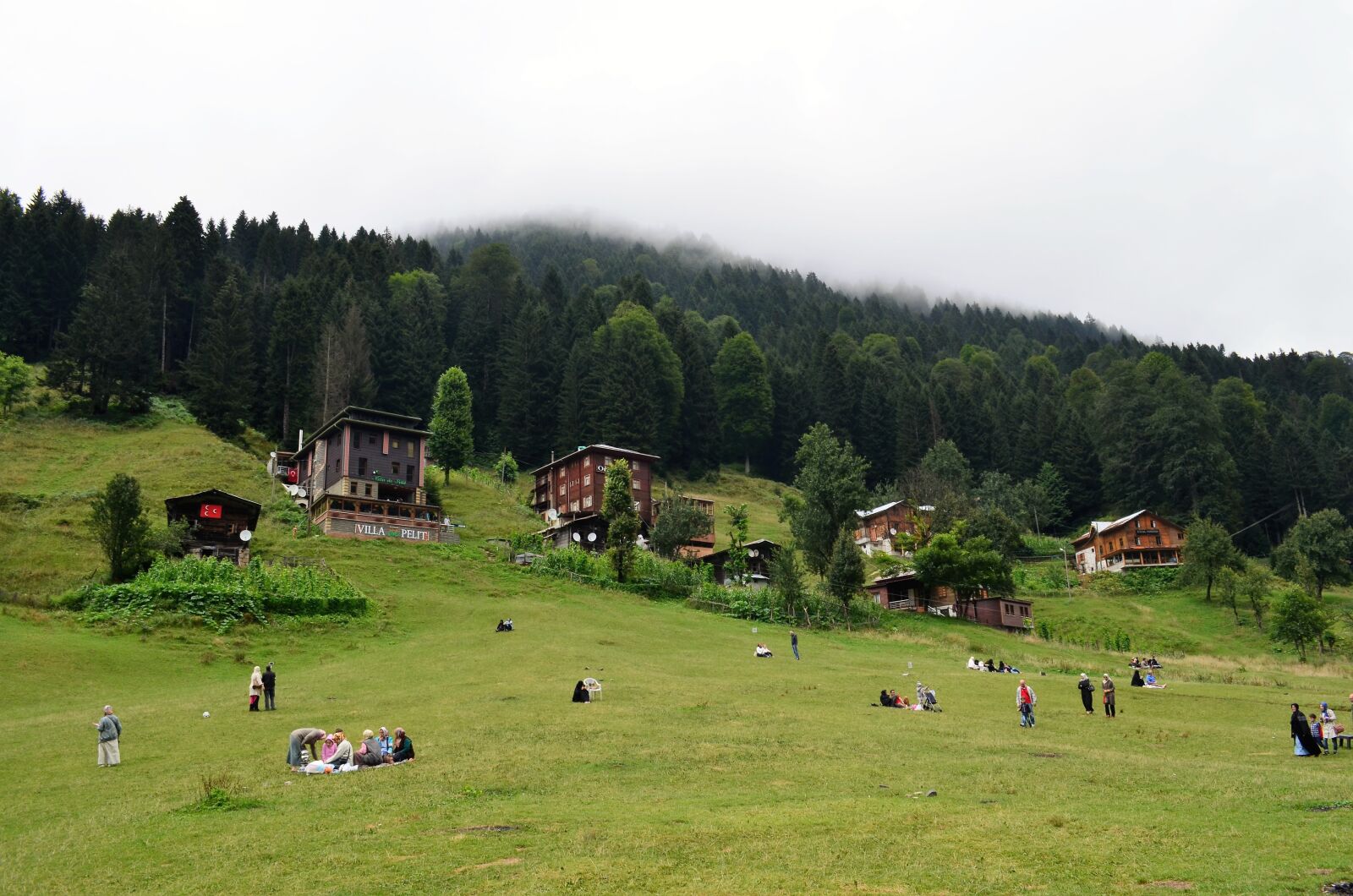 Nikon D5100 sample photo. Eastern black sea, rize photography
